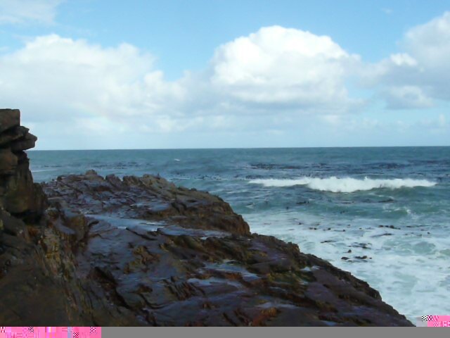 Picture South Africa Cape of Good Hope Cape Point 2008-09 47 - Tours Cape Point