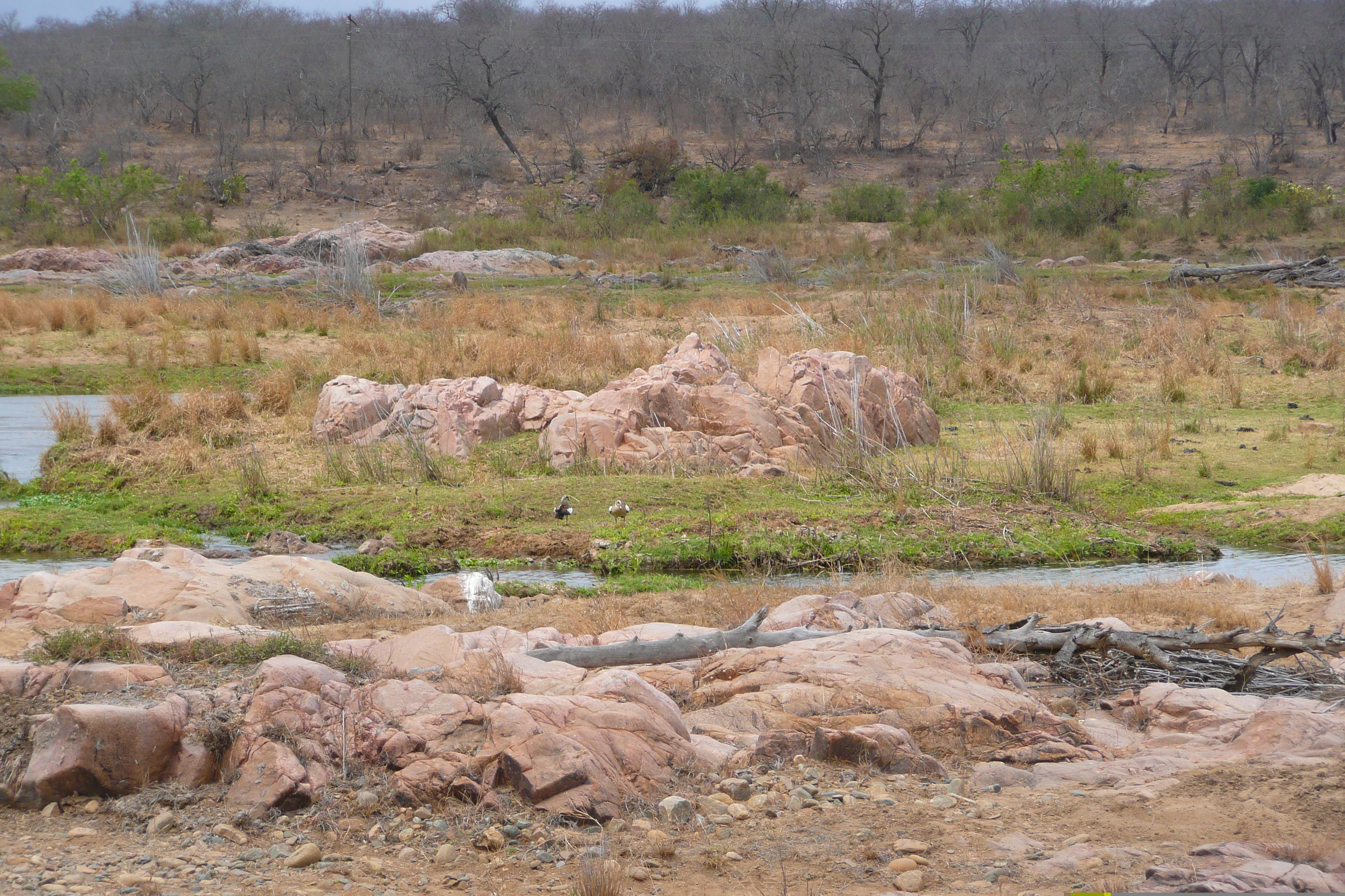 Picture South Africa Kruger National Park Crocodile River 2008-09 52 - Around Crocodile River