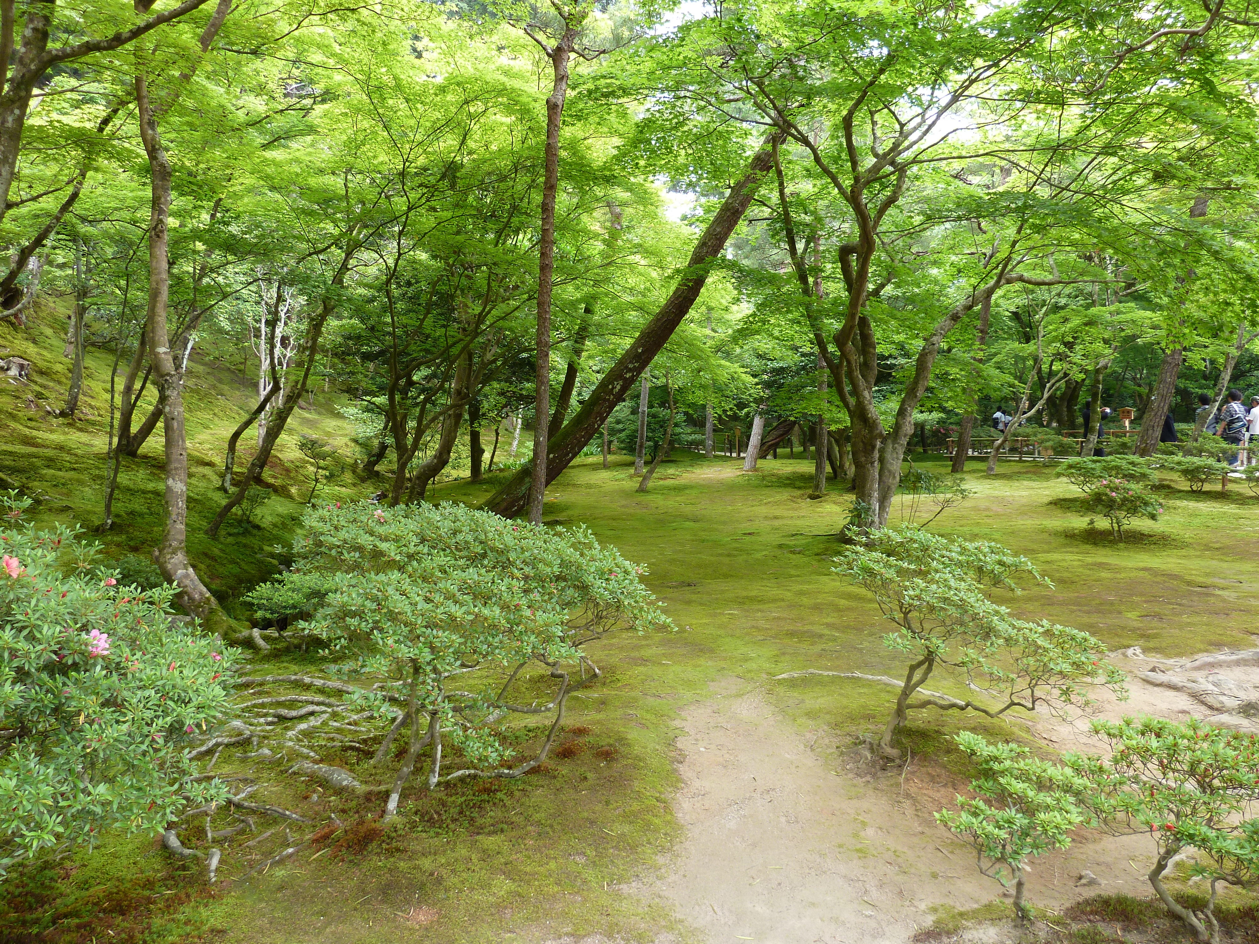 Picture Japan Kyoto Ginkakuji Temple(Silver Pavilion) 2010-06 27 - Around Ginkakuji Temple(Silver Pavilion)