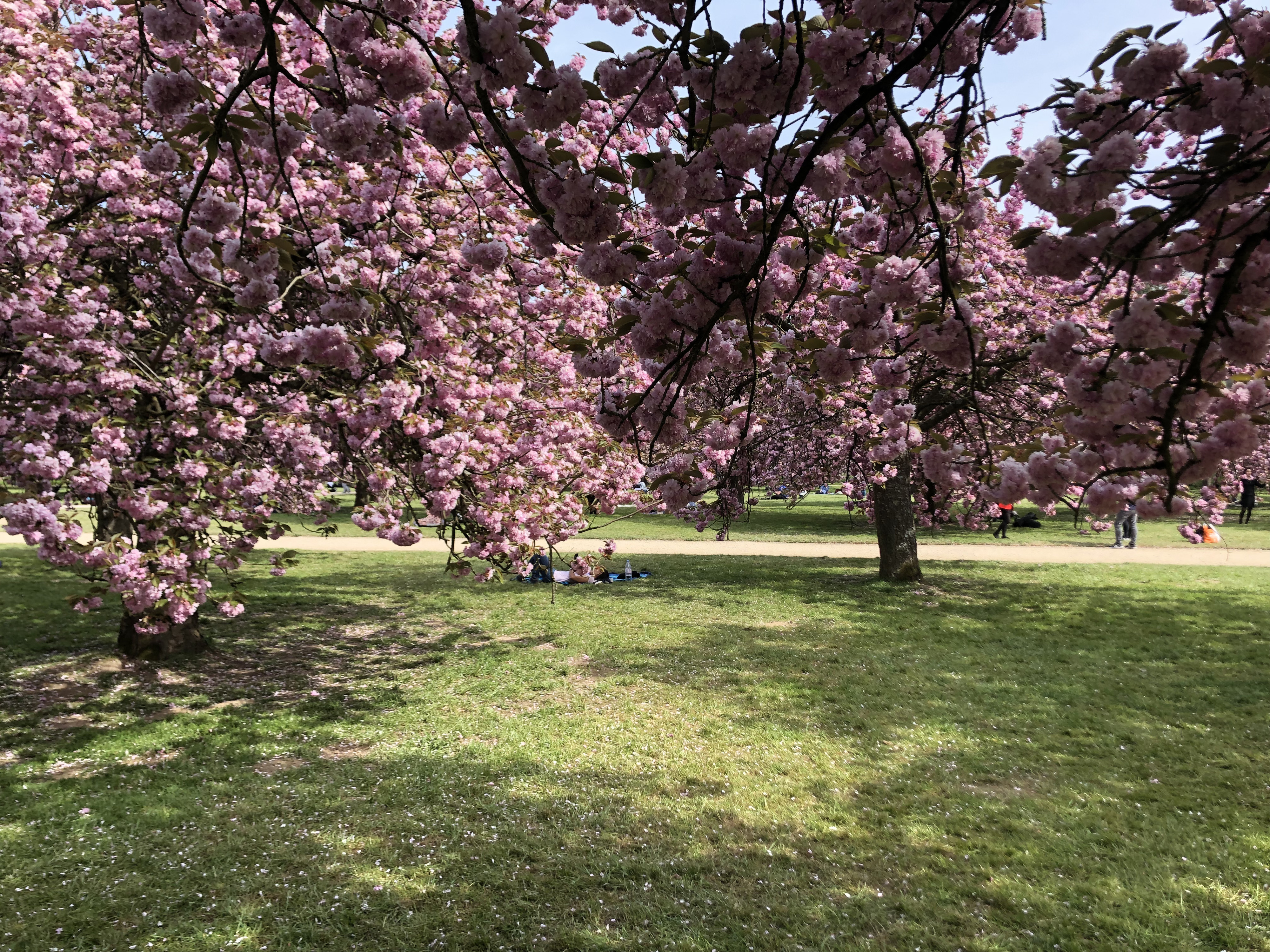 Picture France Parc de Sceaux 2019-04 20 - Around Parc de Sceaux