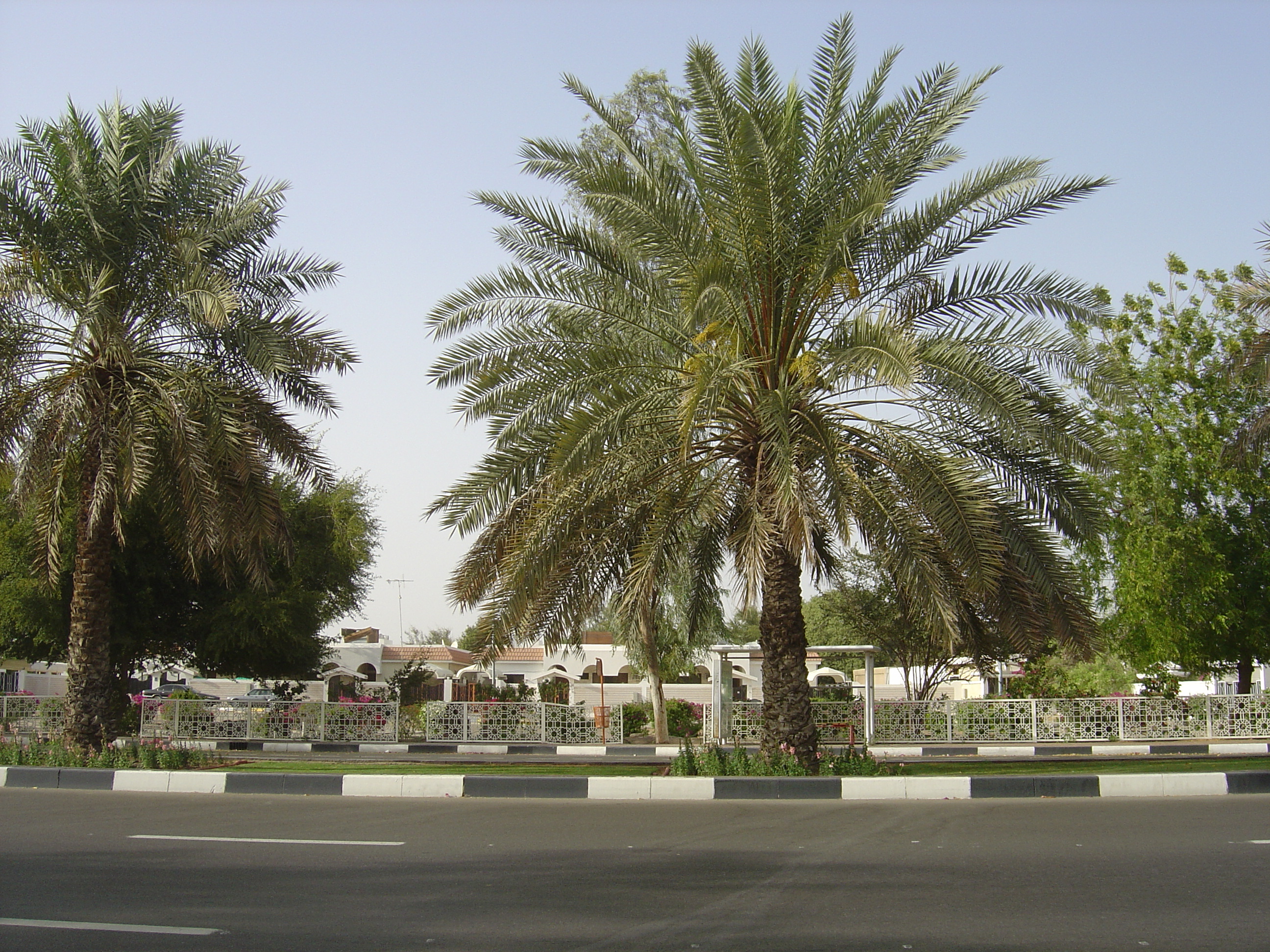 Picture United Arab Emirates Al Ain 2005-03 55 - Tour Al Ain