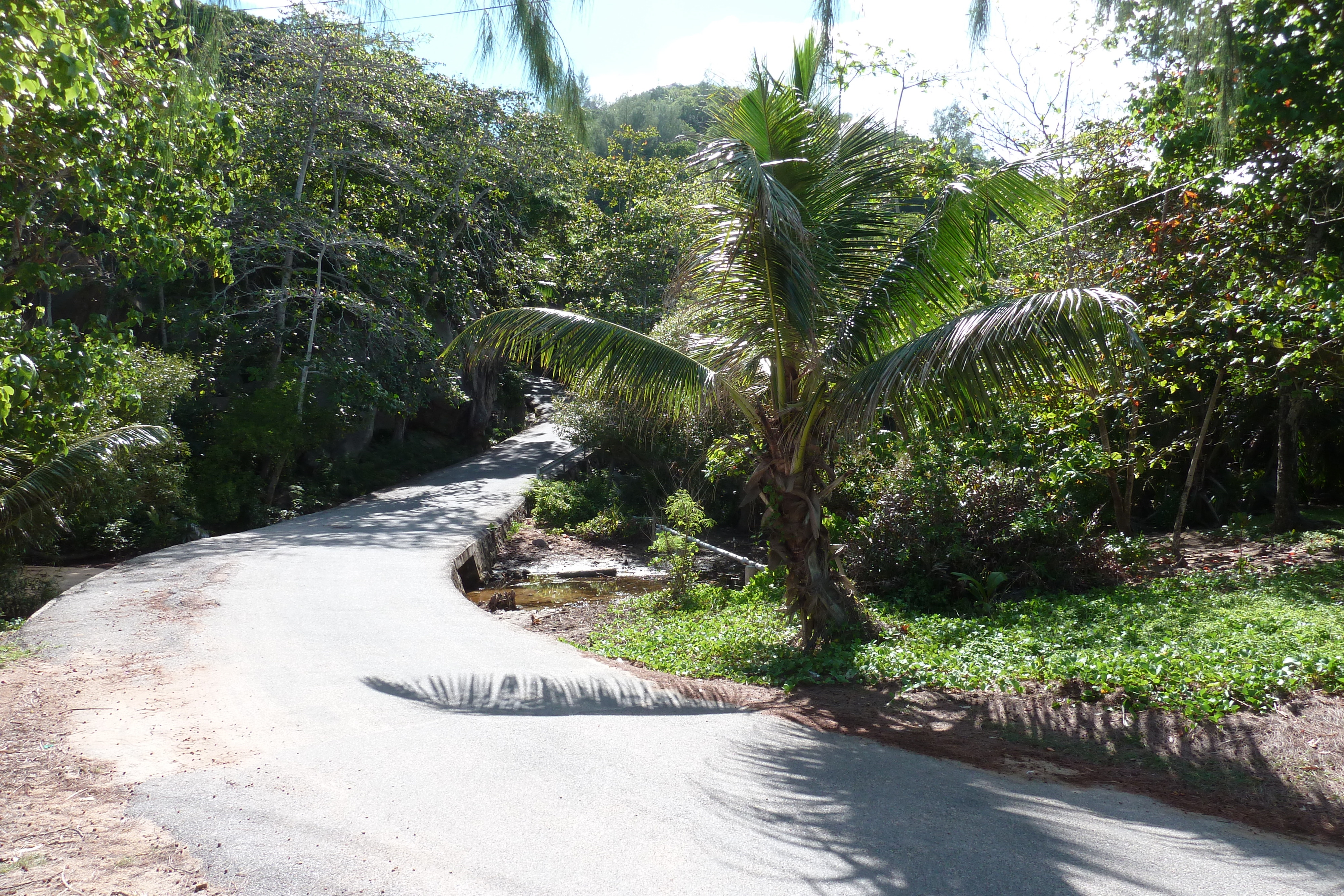 Picture Seychelles Praslin 2011-10 132 - Tours Praslin