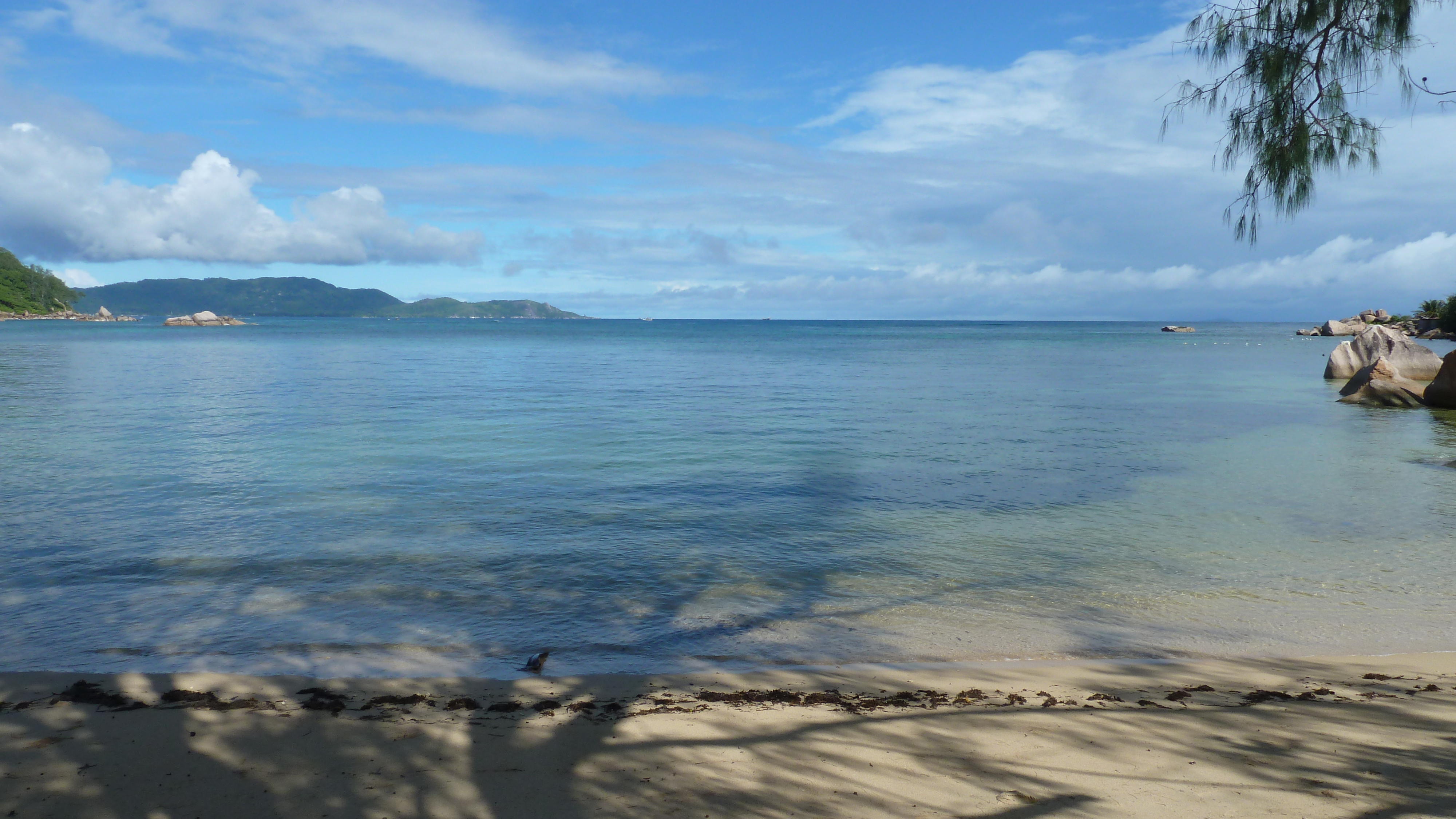 Picture Seychelles Praslin 2011-10 157 - Tour Praslin