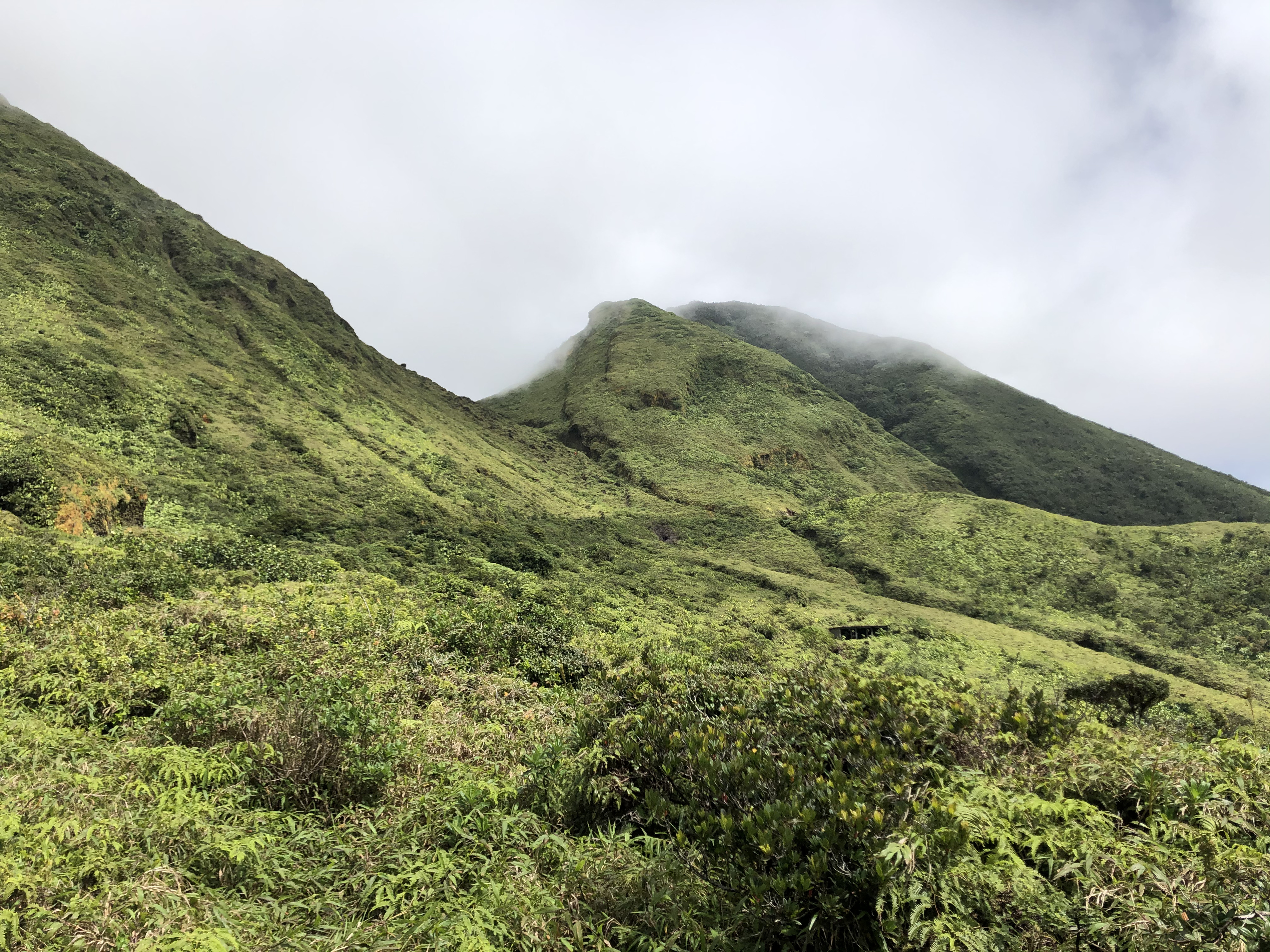 Picture Guadeloupe La Grande Soufriere 2021-02 64 - Center La Grande Soufriere