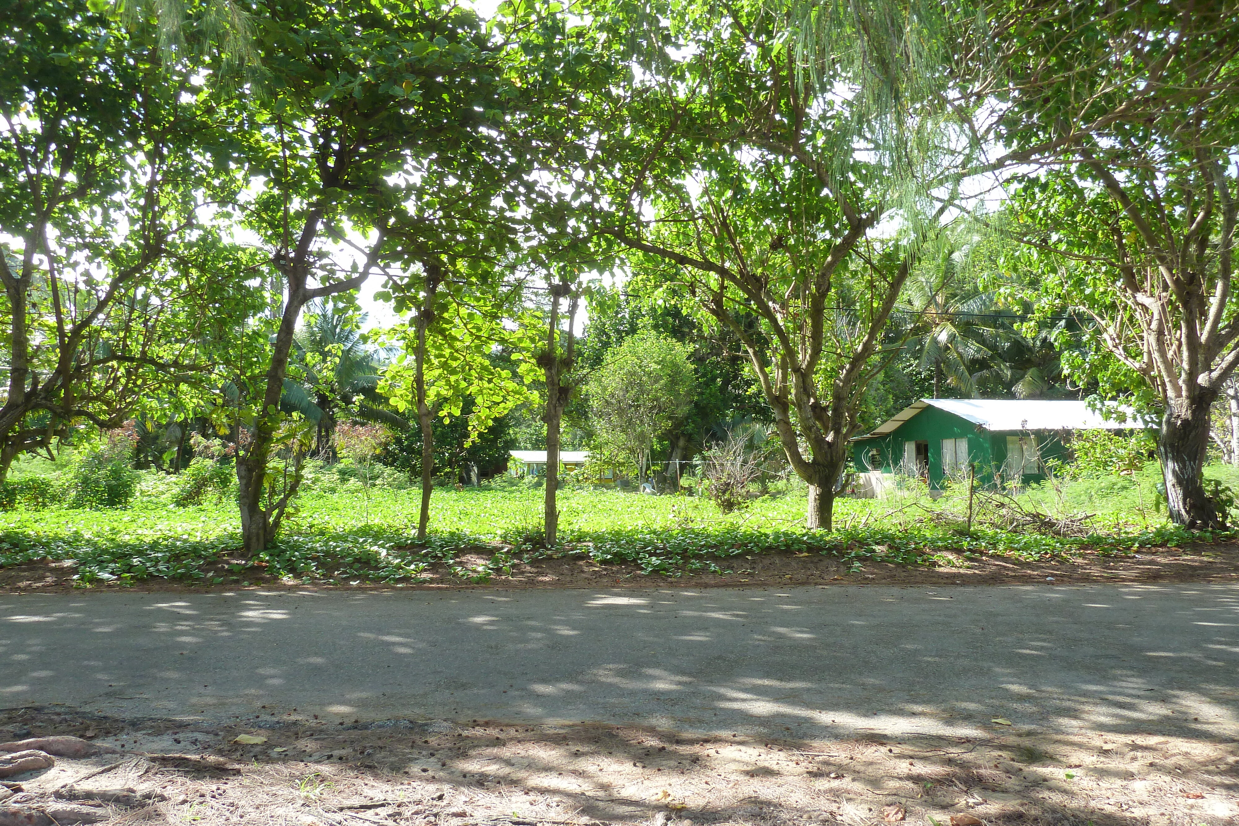 Picture Seychelles Praslin 2011-10 98 - History Praslin