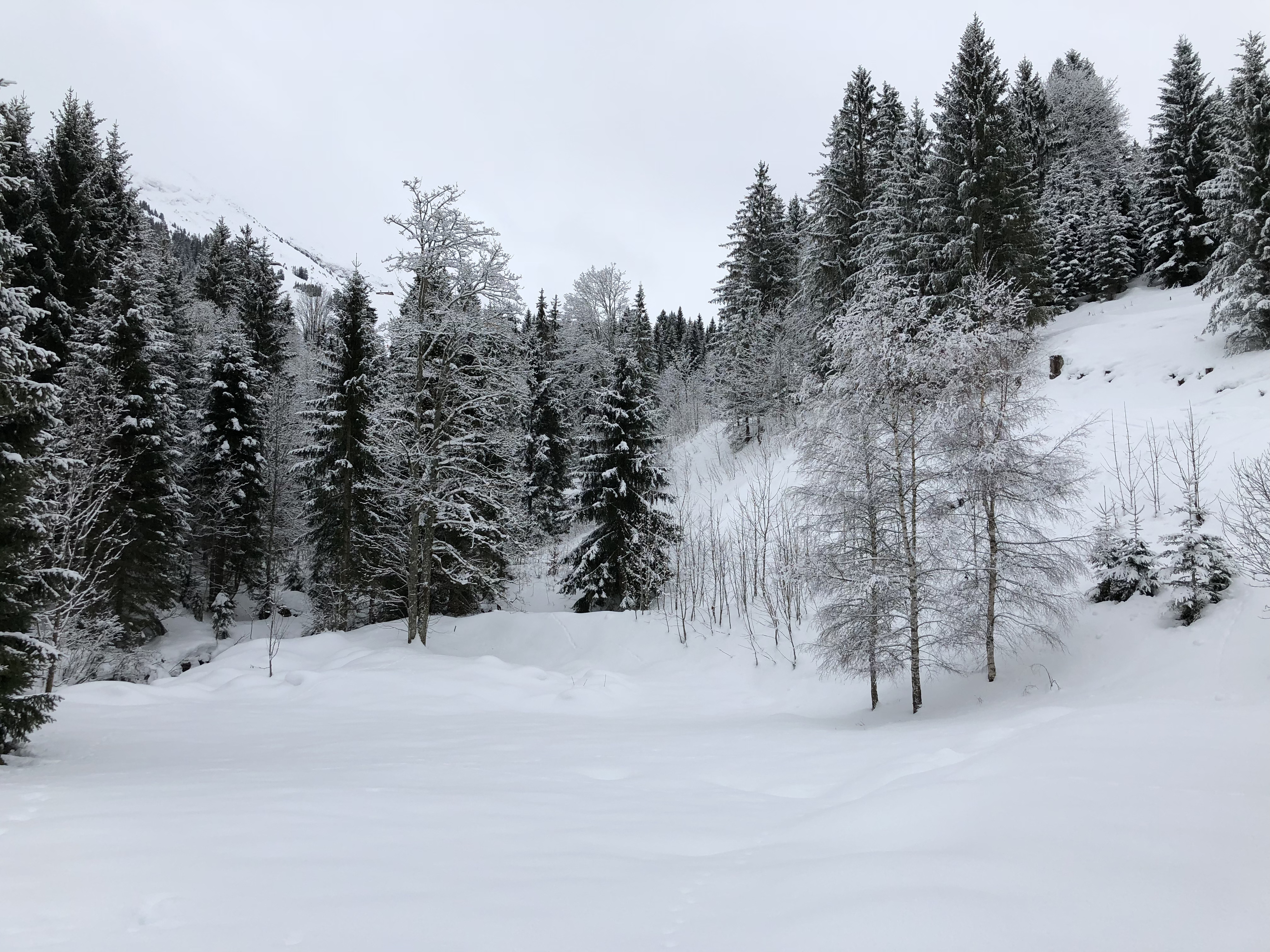 Picture France La Clusaz 2017-12 296 - Tour La Clusaz