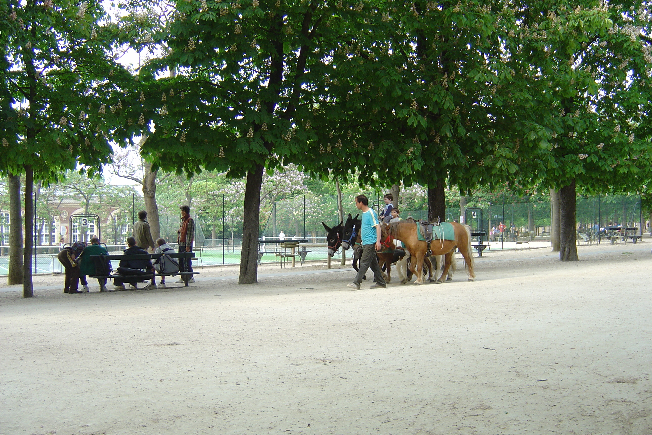 Picture France Paris Luxembourg Garden 2007-04 33 - Journey Luxembourg Garden