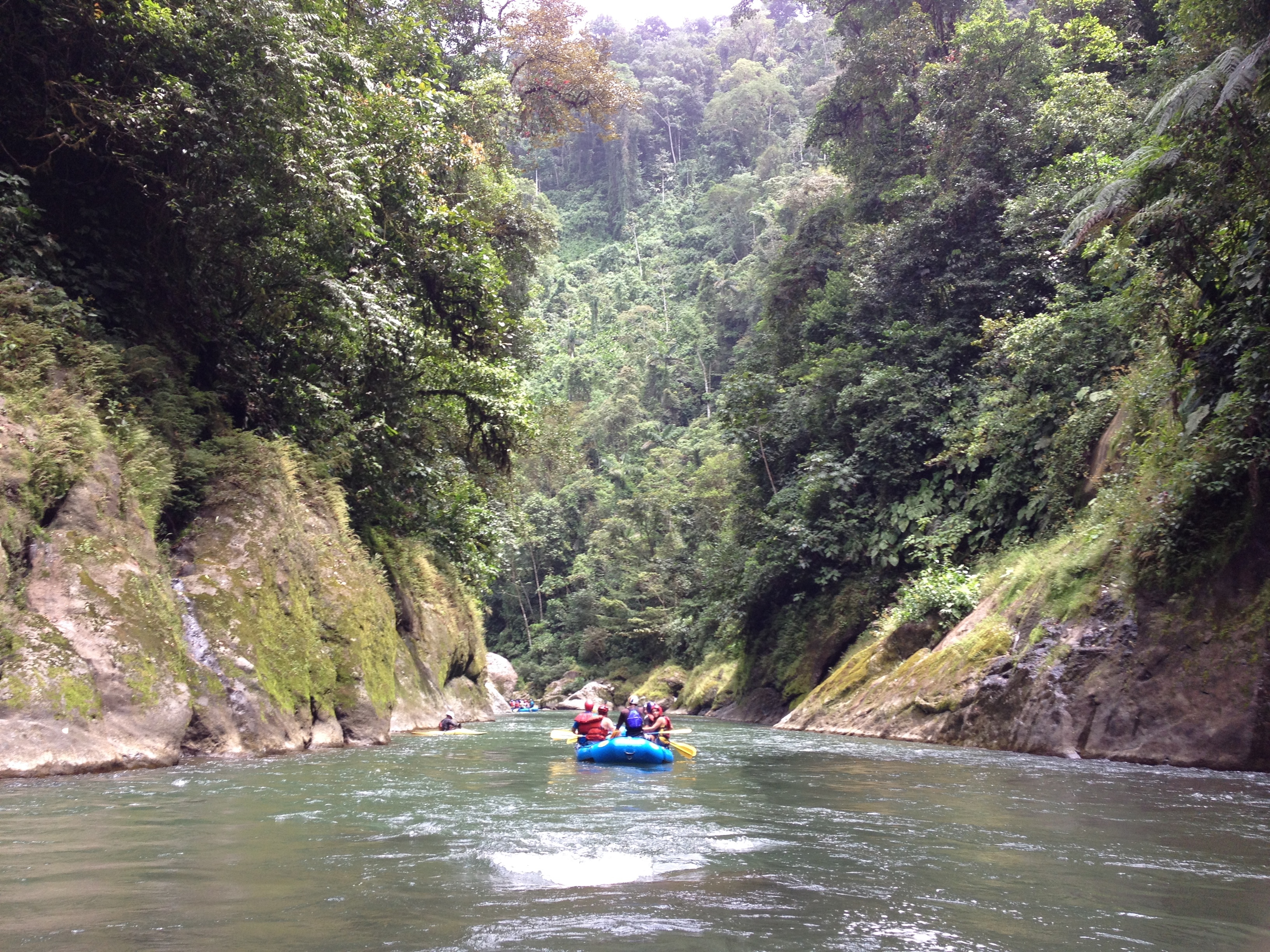 Picture Costa Rica 2015-03 34 - Tours Costa Rica