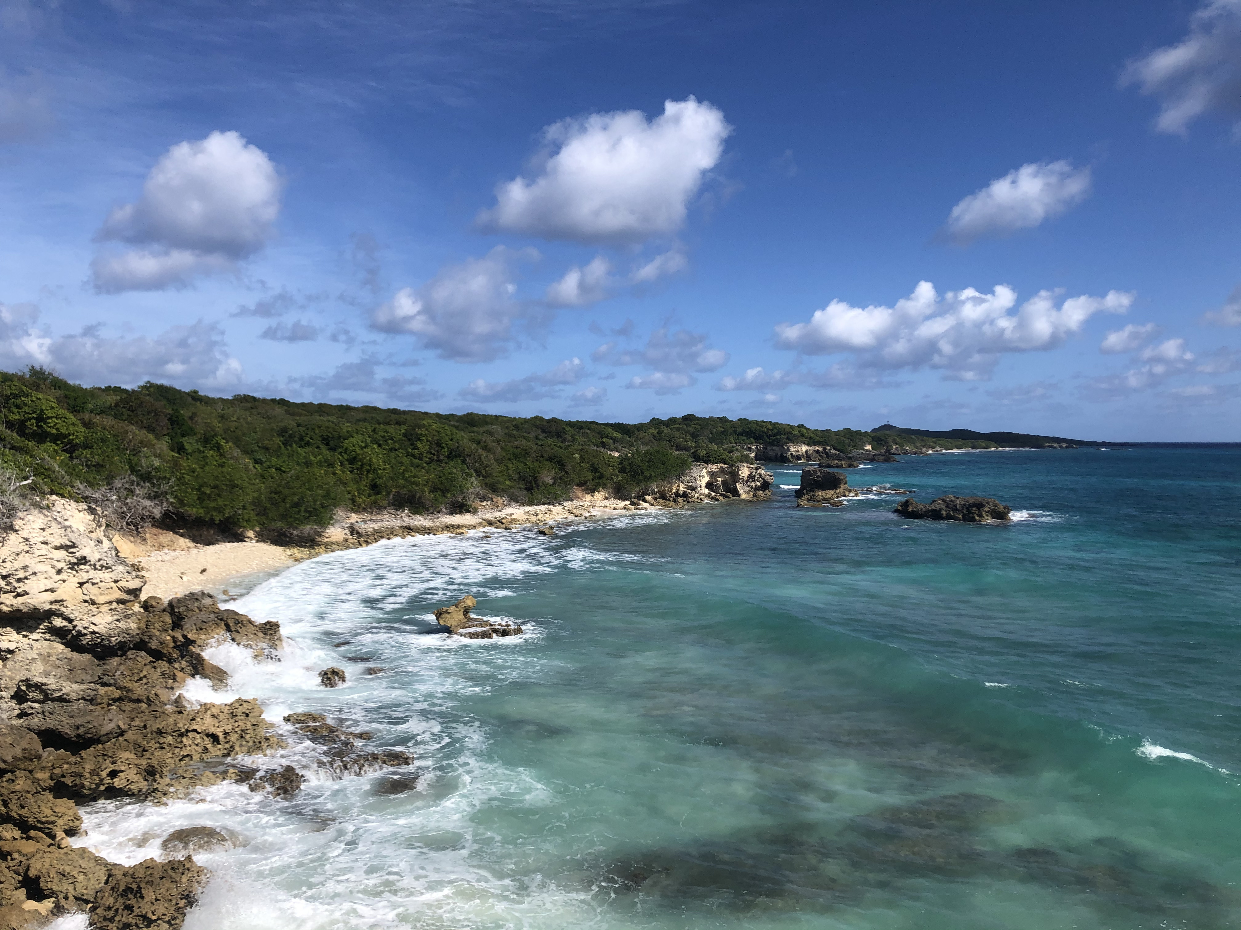 Picture Guadeloupe Saint Francois 2021-02 20 - Around Saint Francois