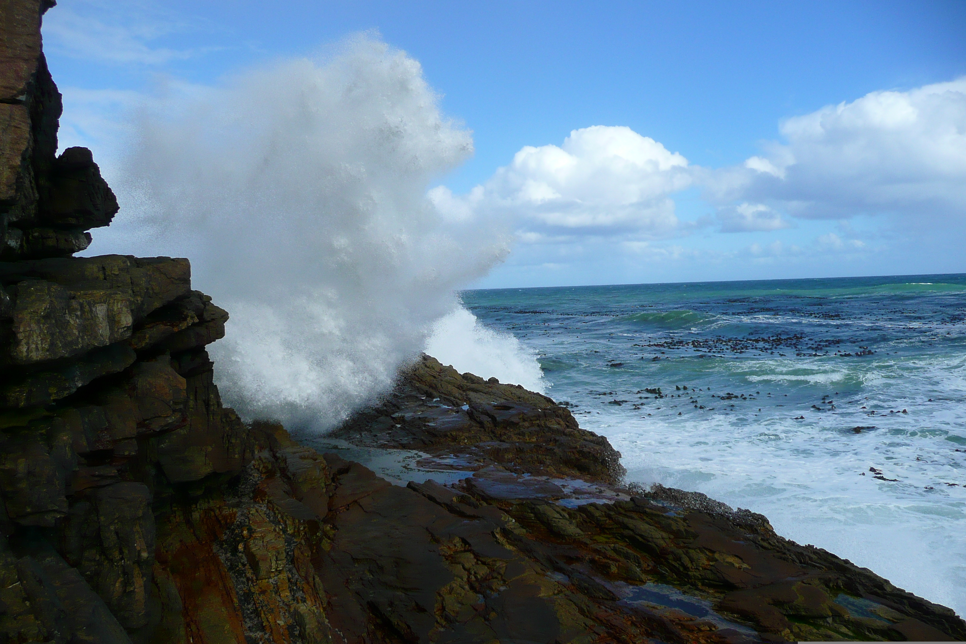 Picture South Africa Cape of Good Hope Cape Point 2008-09 32 - Around Cape Point