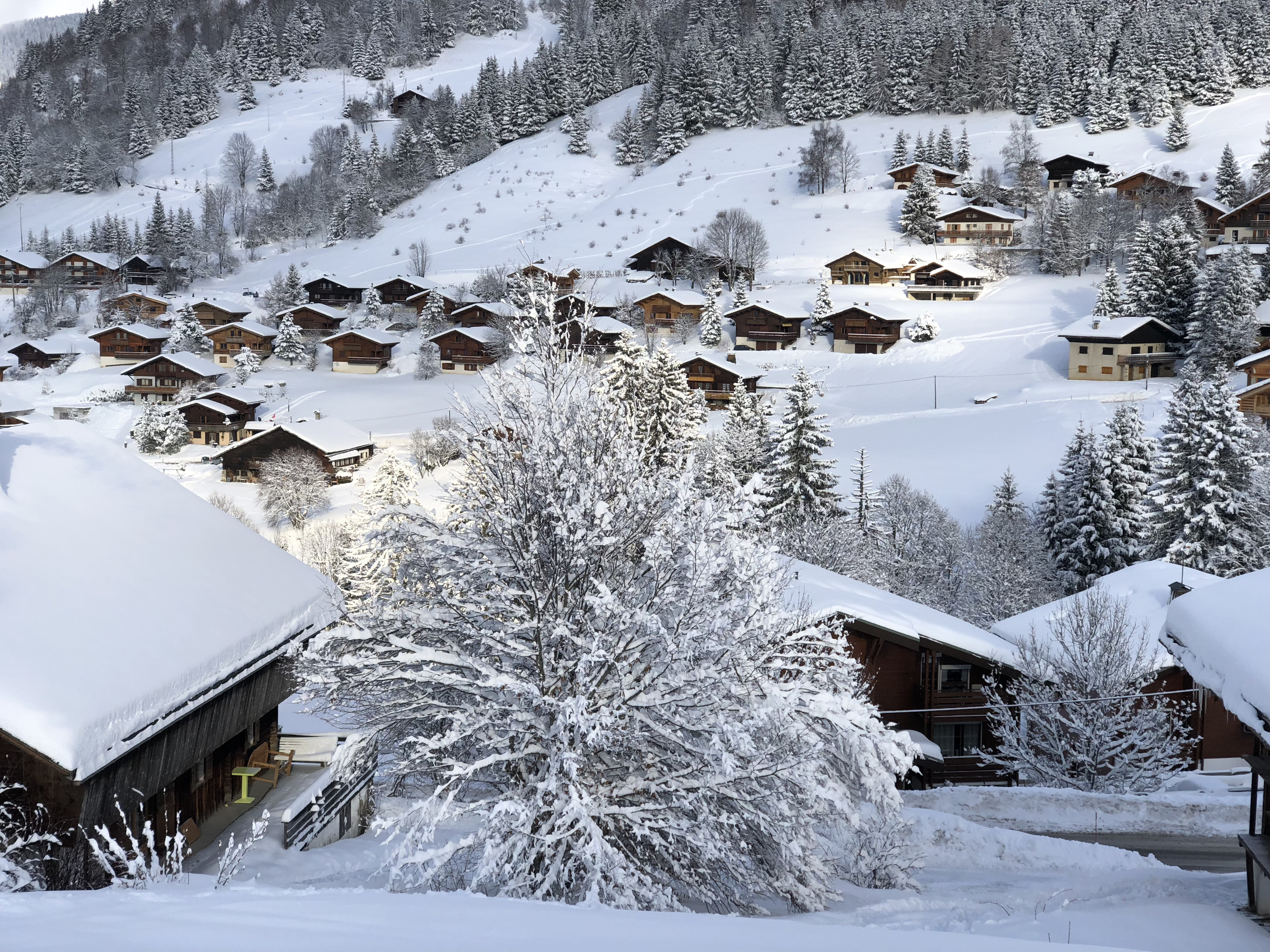 Picture France La Clusaz 2017-12 124 - History La Clusaz