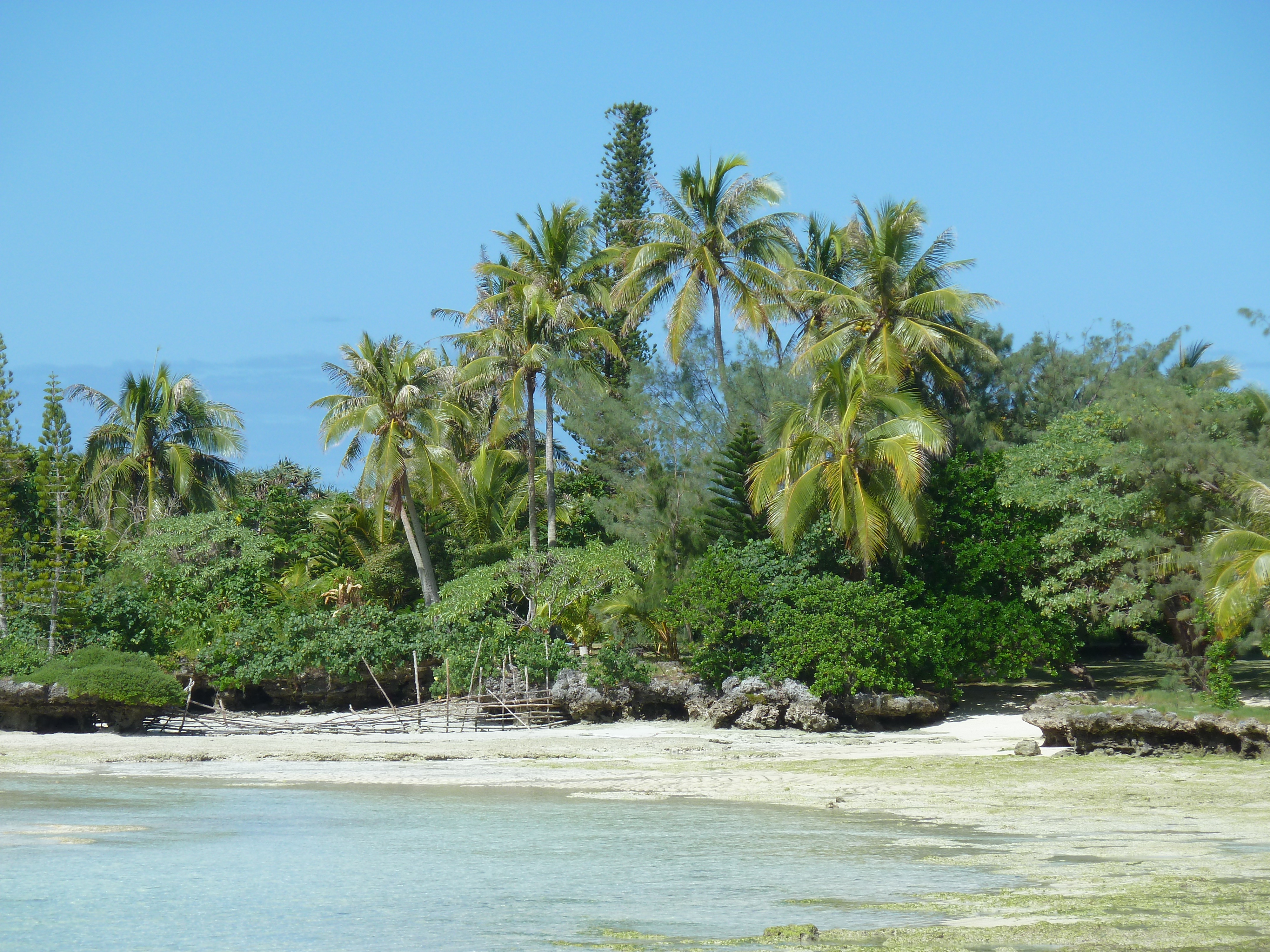 Picture New Caledonia Lifou Mu 2010-05 2 - Journey Mu