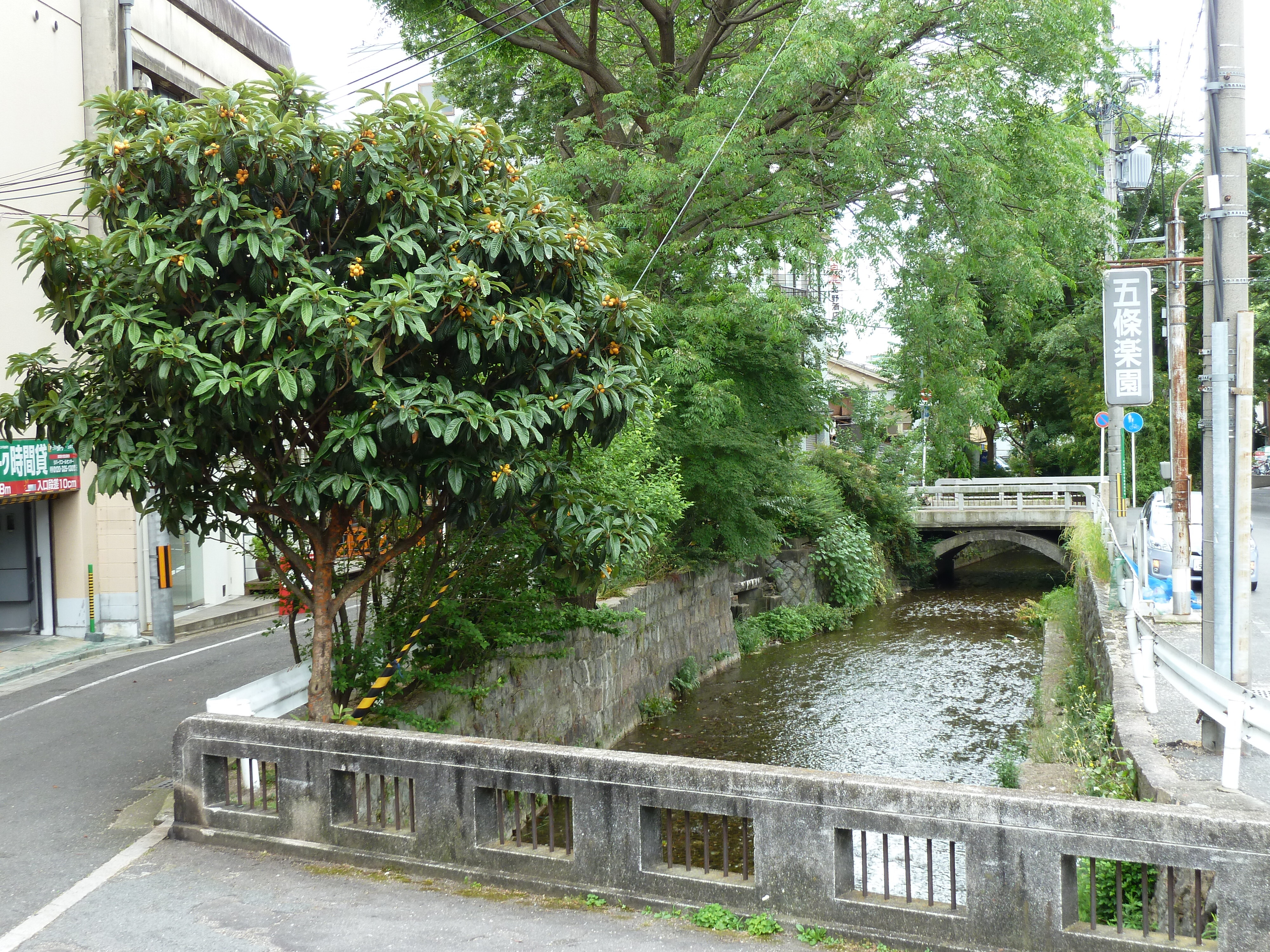 Picture Japan Kyoto 2010-06 82 - History Kyoto