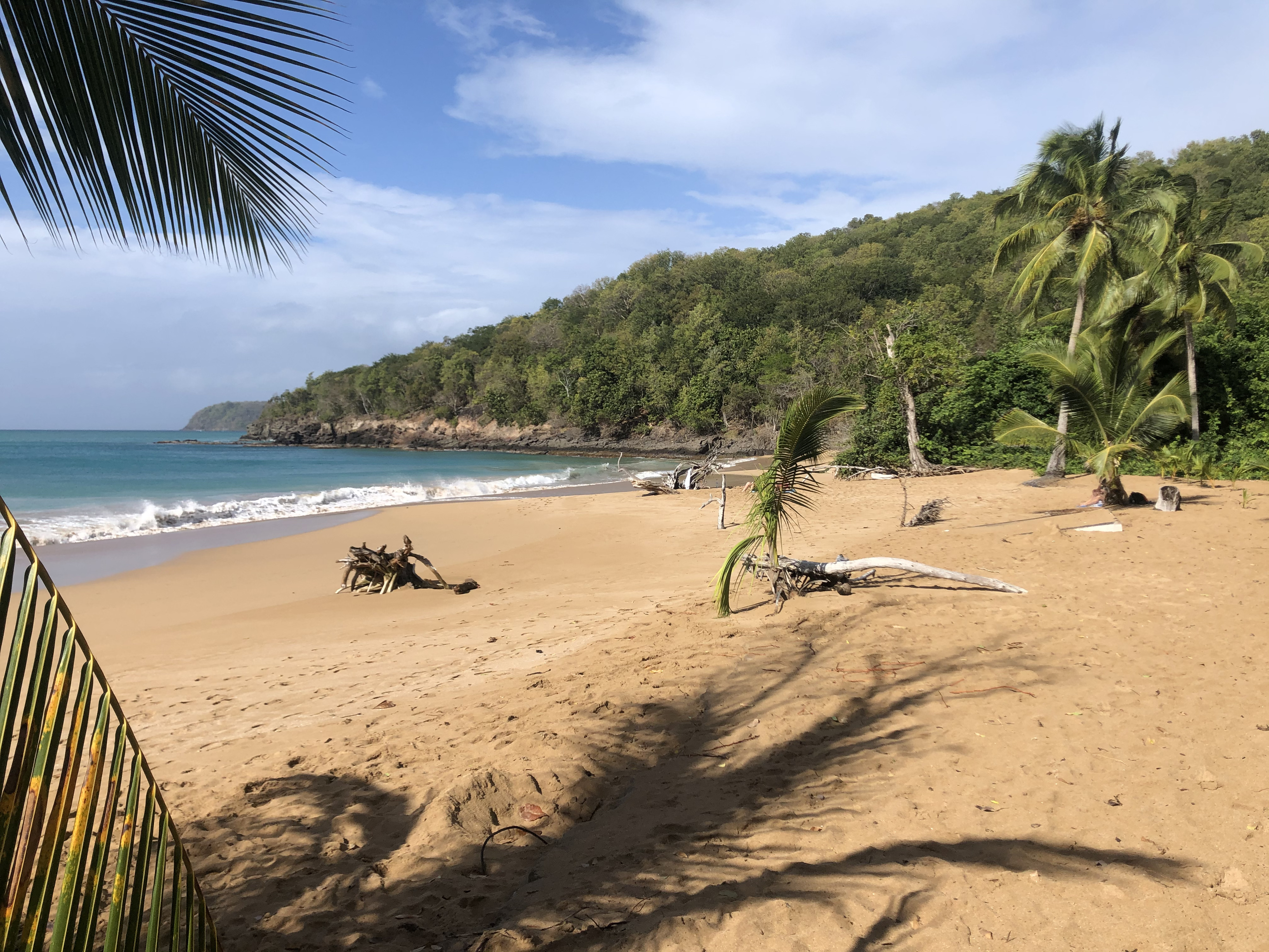 Picture Guadeloupe La Perle Beach 2021-02 21 - Tour La Perle Beach