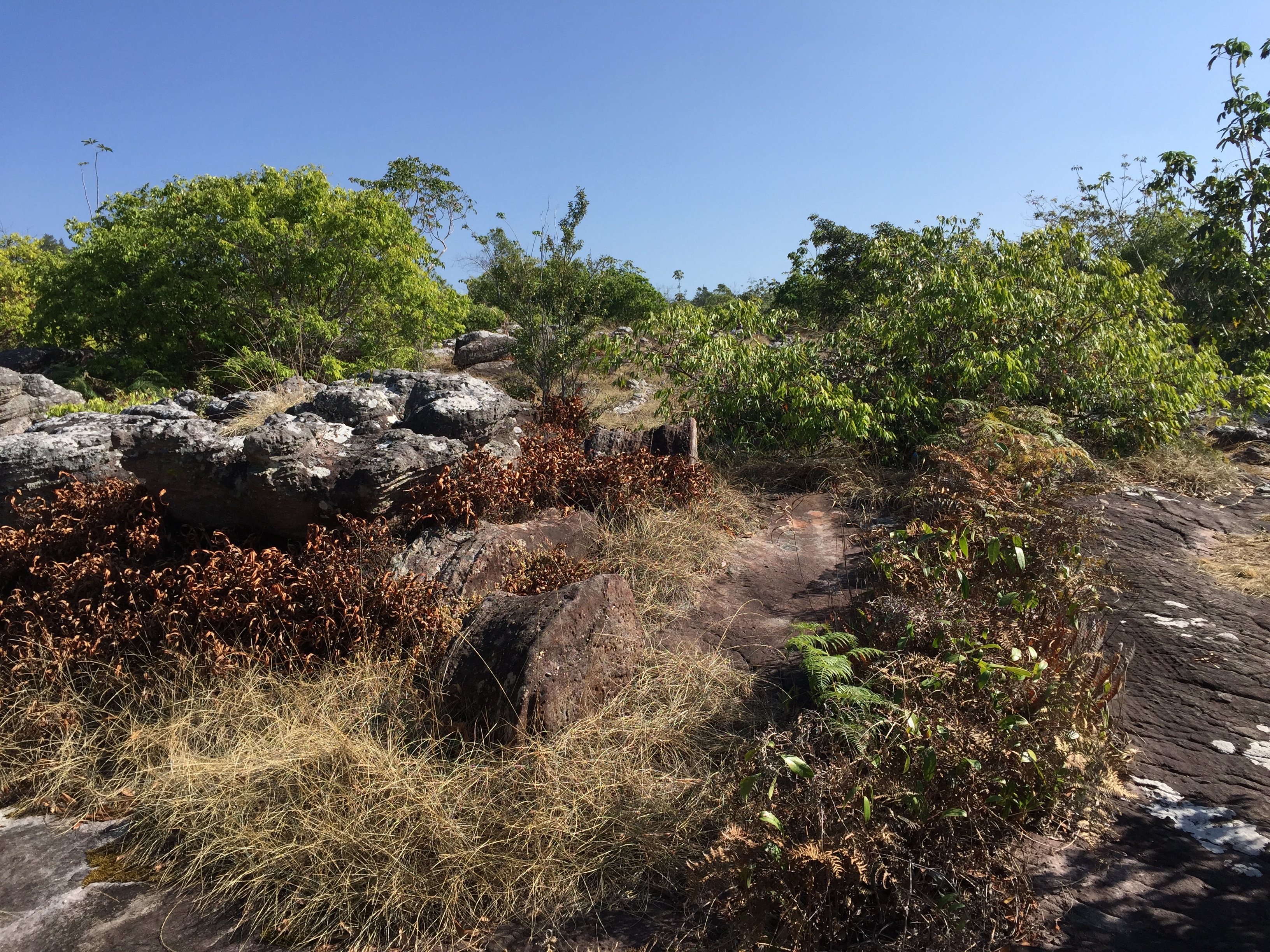 Picture Thailand Phu Hin Rong Kla National Park 2014-12 233 - Journey Phu Hin Rong Kla National Park