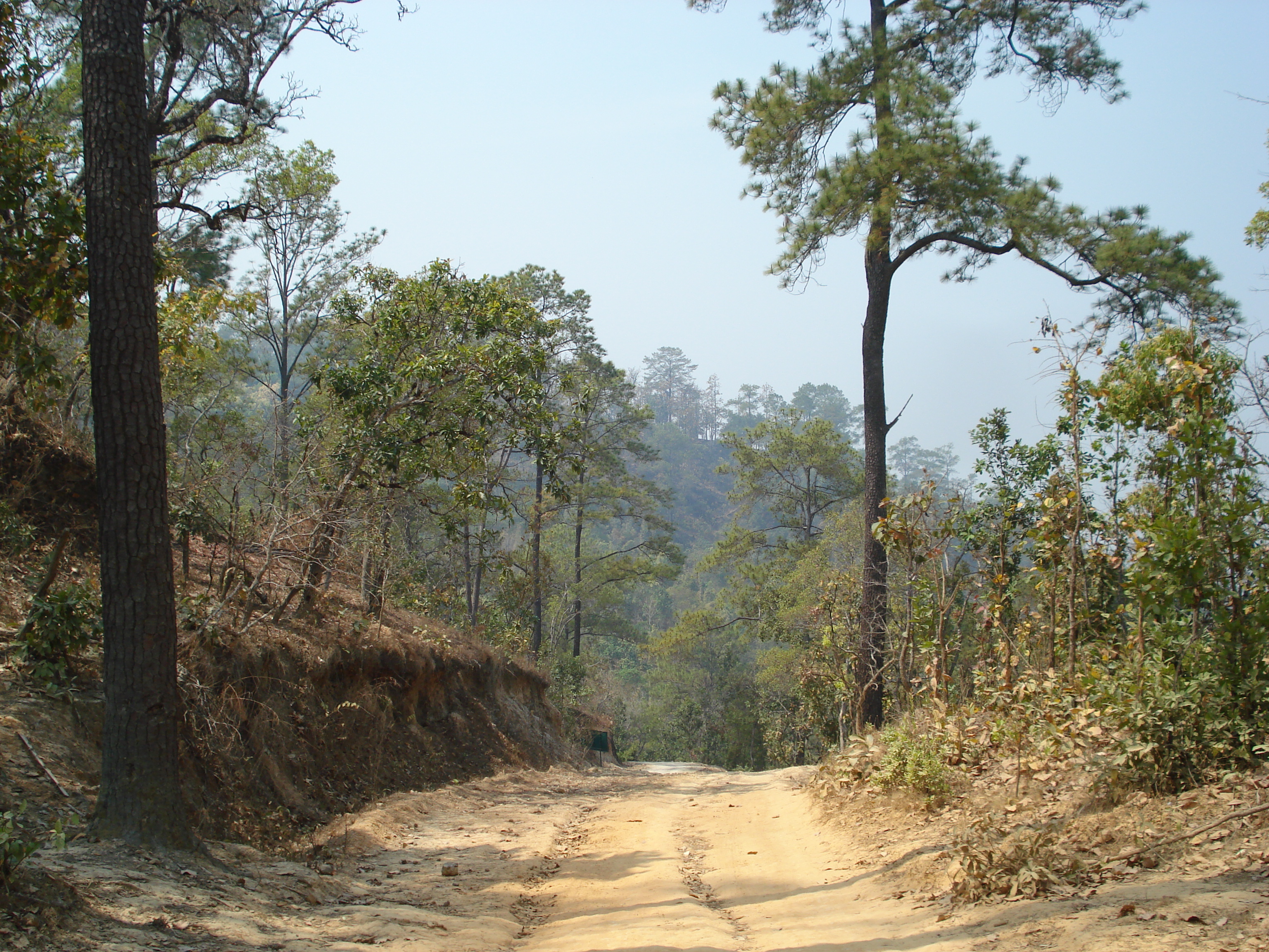 Picture Thailand Pang Mapha 2007-02 12 - Journey Pang Mapha