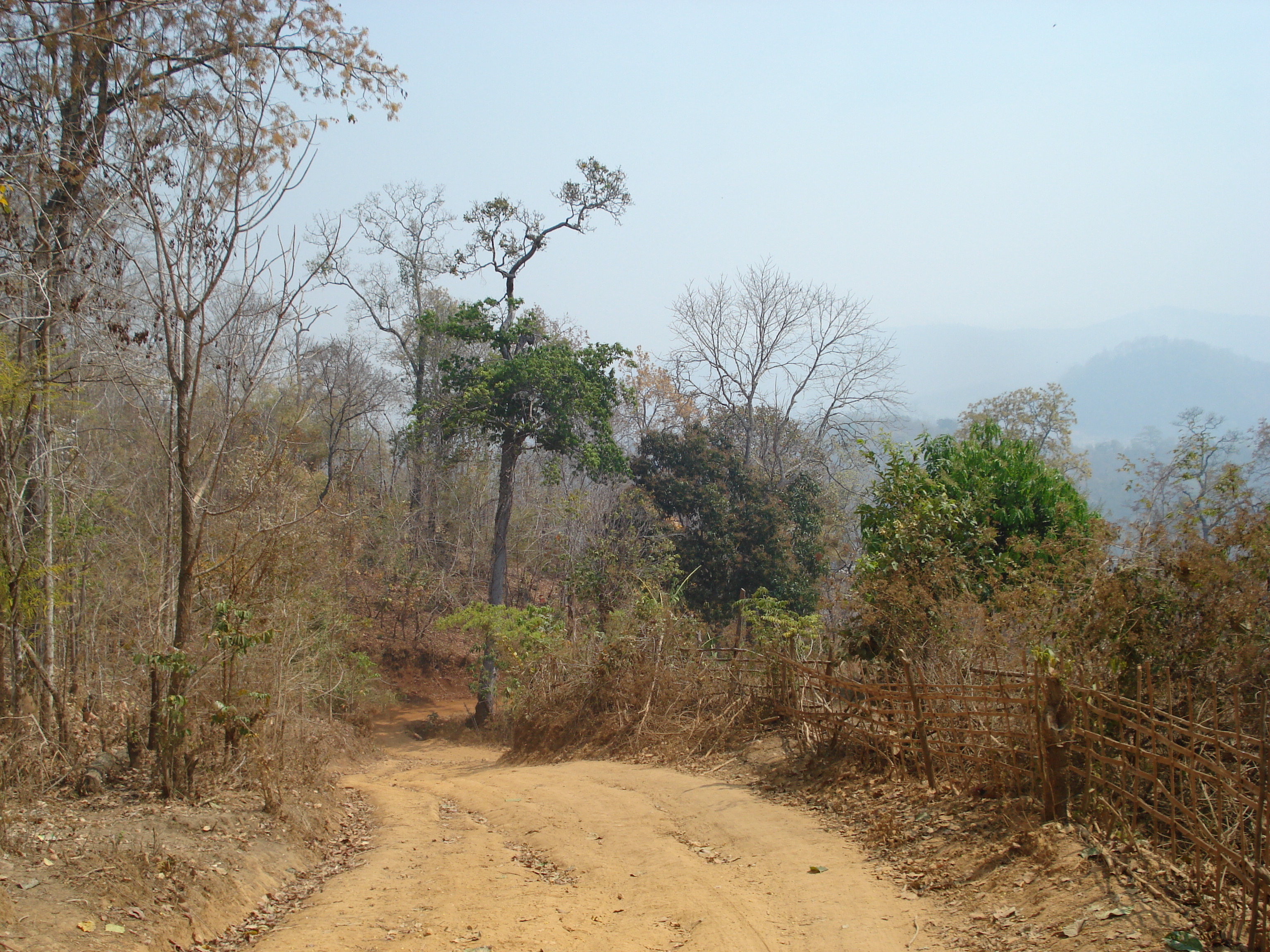 Picture Thailand Pang Mapha 2007-02 15 - Around Pang Mapha