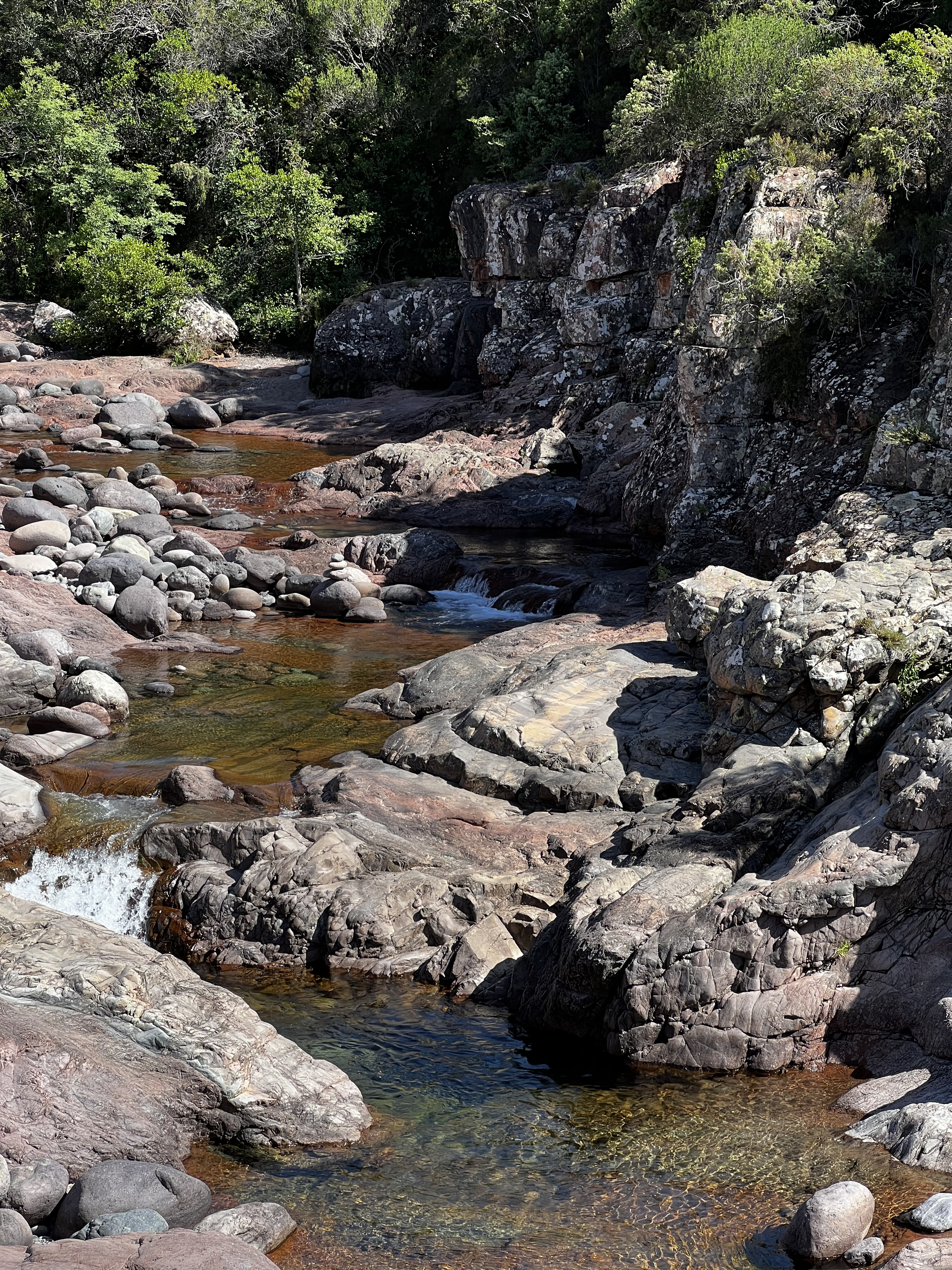 Picture France Corsica Fango river 2022-06 32 - Tour Fango river