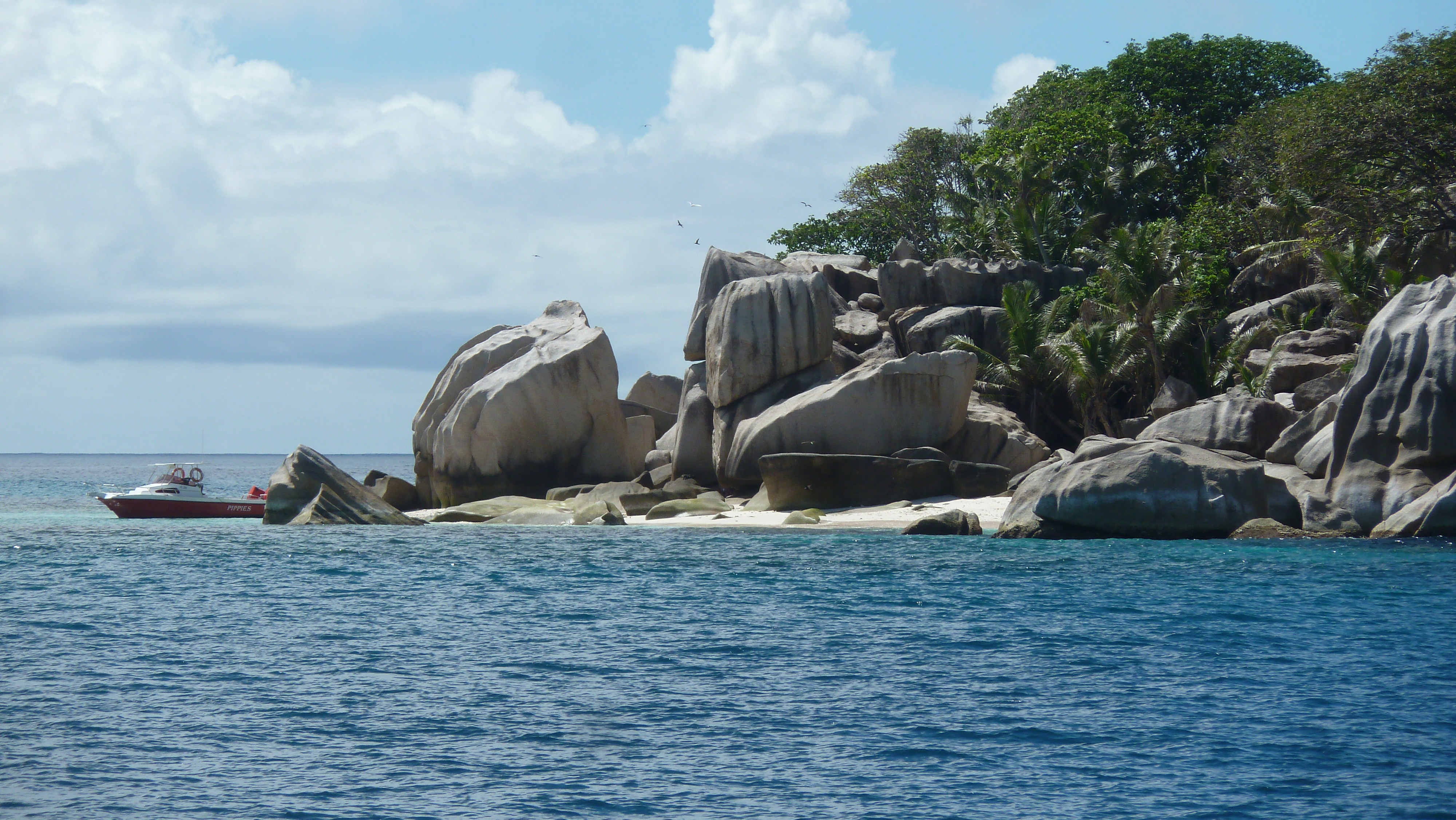 Picture Seychelles Coco Island 2011-10 50 - Tours Coco Island