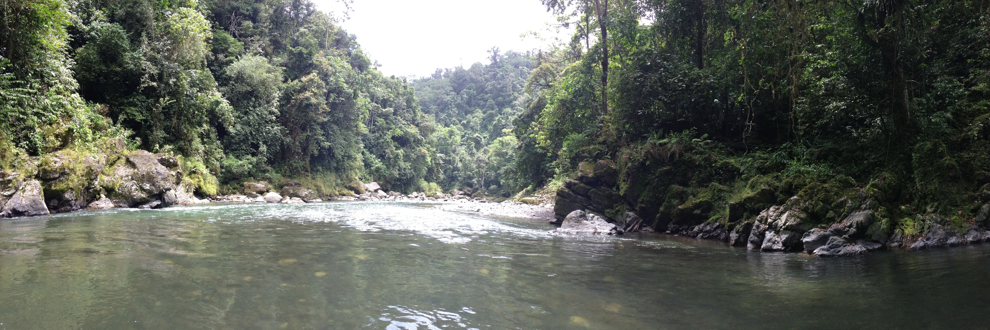 Picture Costa Rica Pacuare River 2015-03 121 - Tours Pacuare River