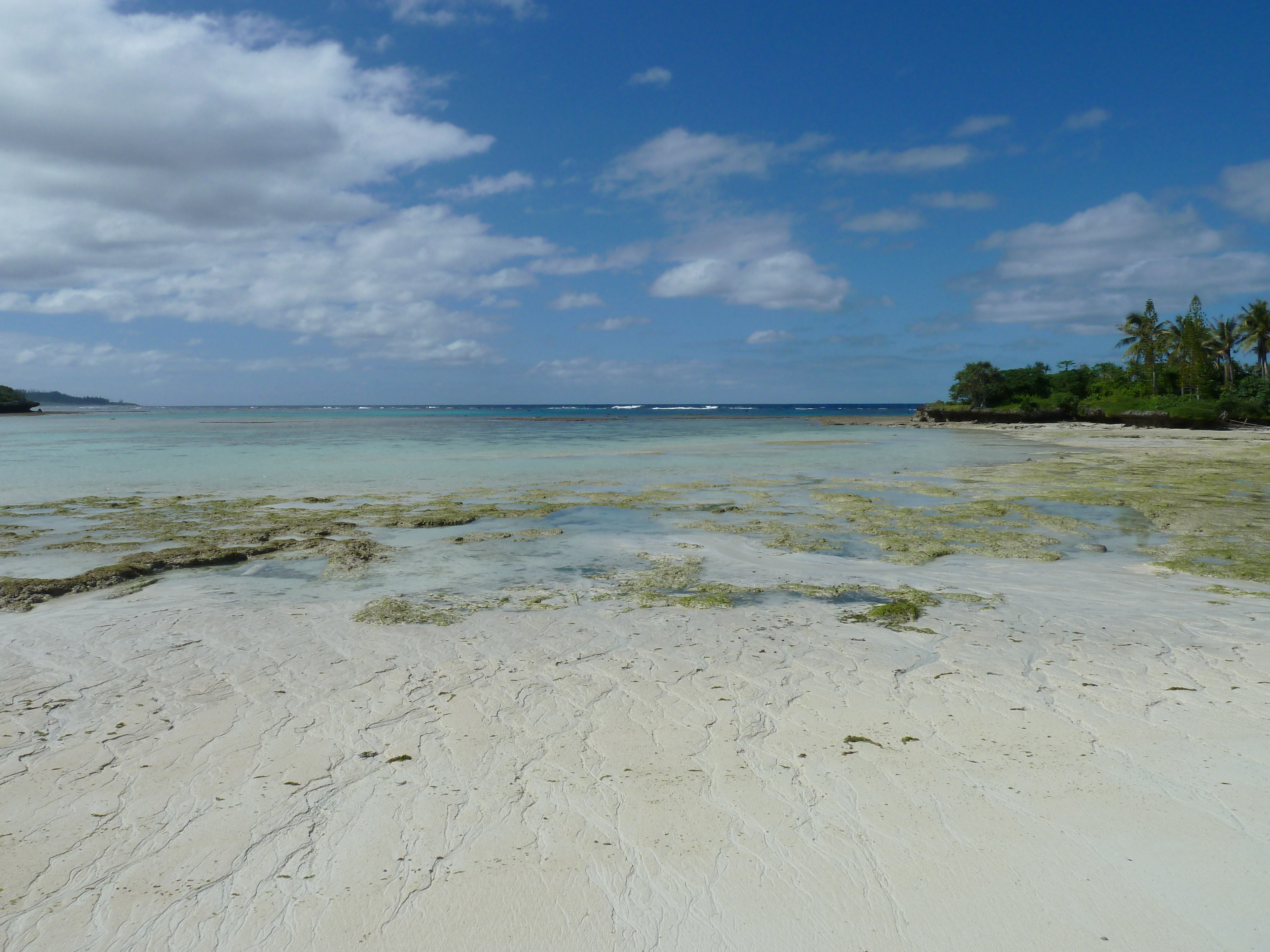 Picture New Caledonia Lifou Mu 2010-05 35 - Tour Mu