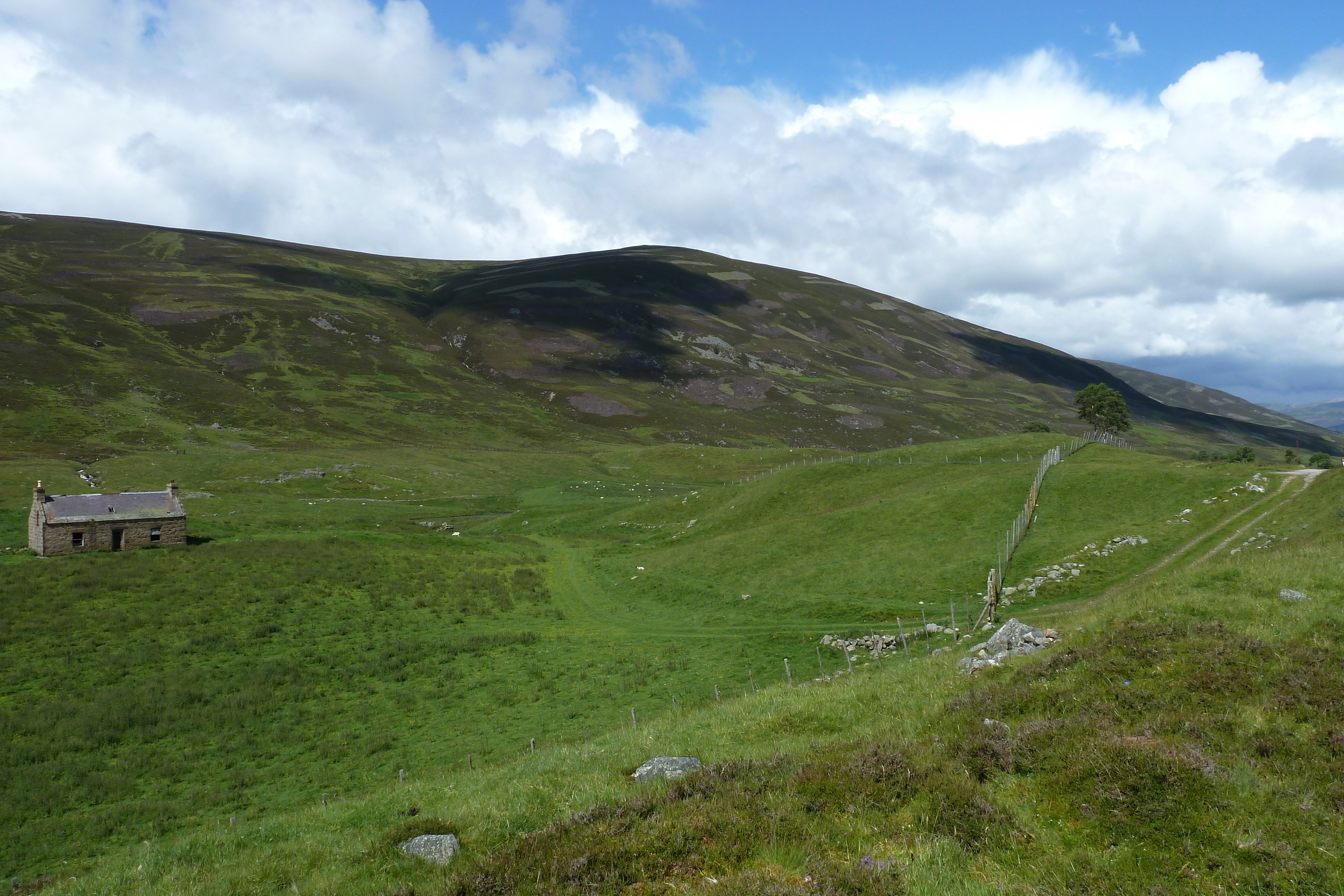 Picture United Kingdom Cairngorms National Park 2011-07 106 - Around Cairngorms National Park