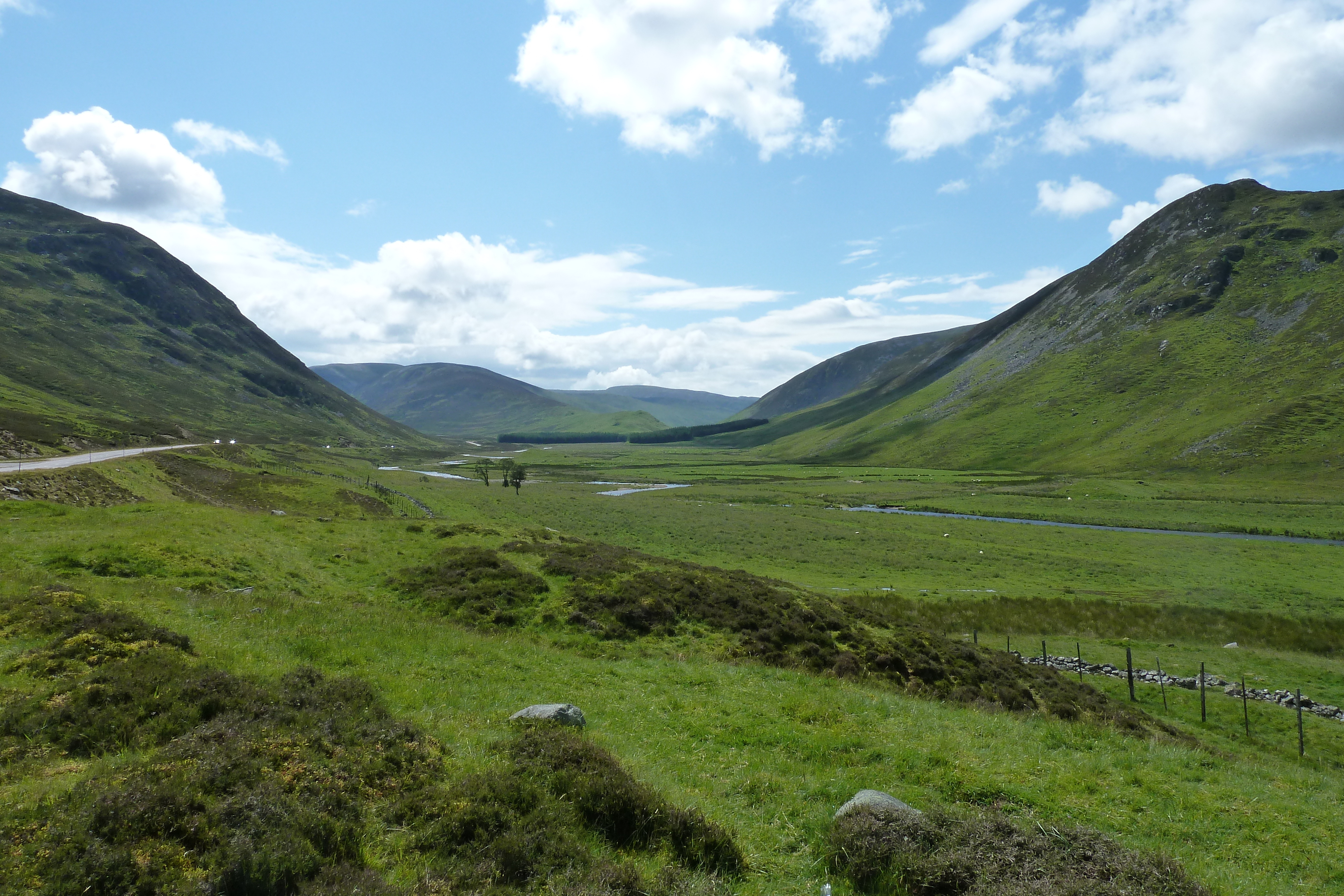 Picture United Kingdom Cairngorms National Park 2011-07 48 - Journey Cairngorms National Park