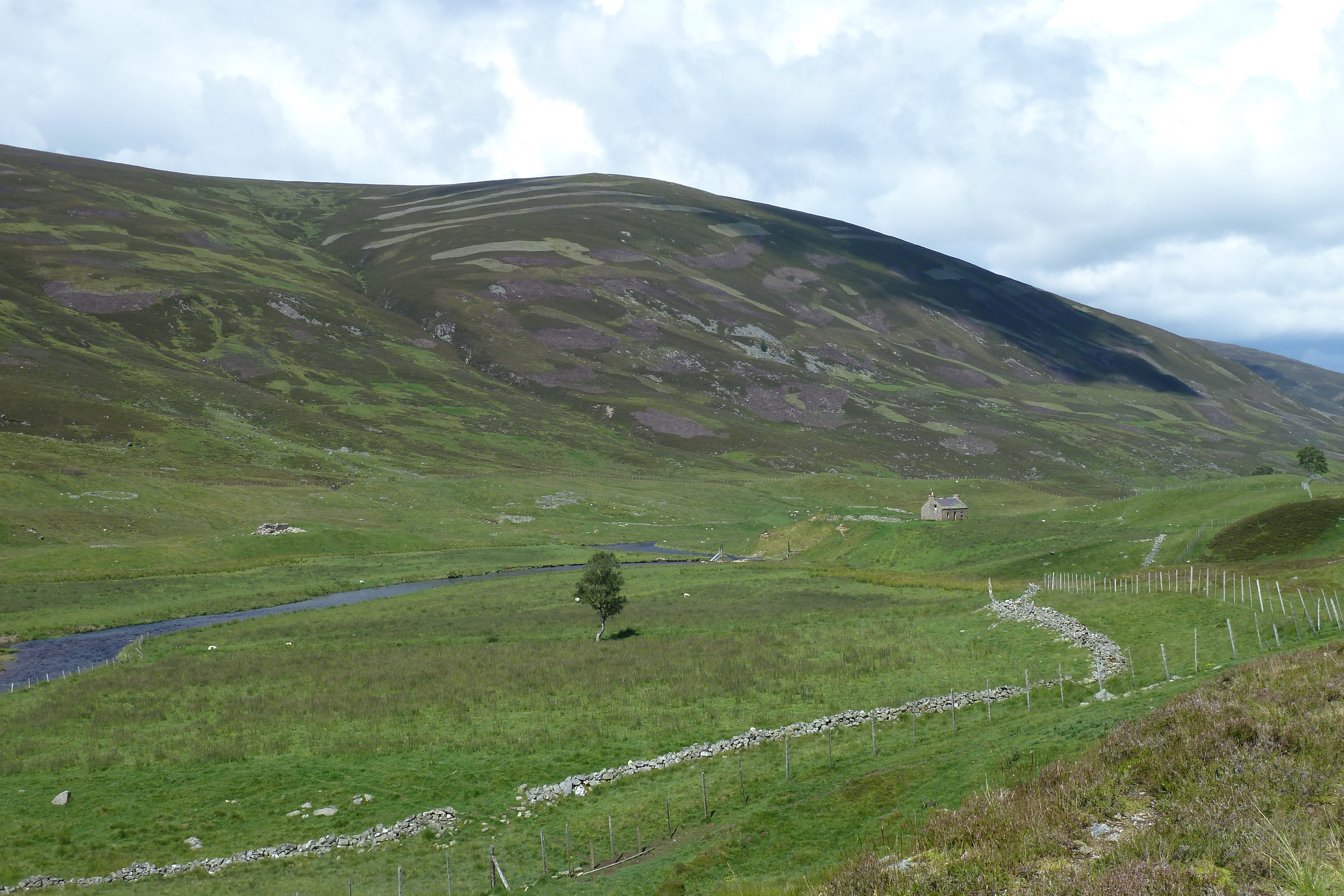 Picture United Kingdom Cairngorms National Park 2011-07 71 - Discovery Cairngorms National Park