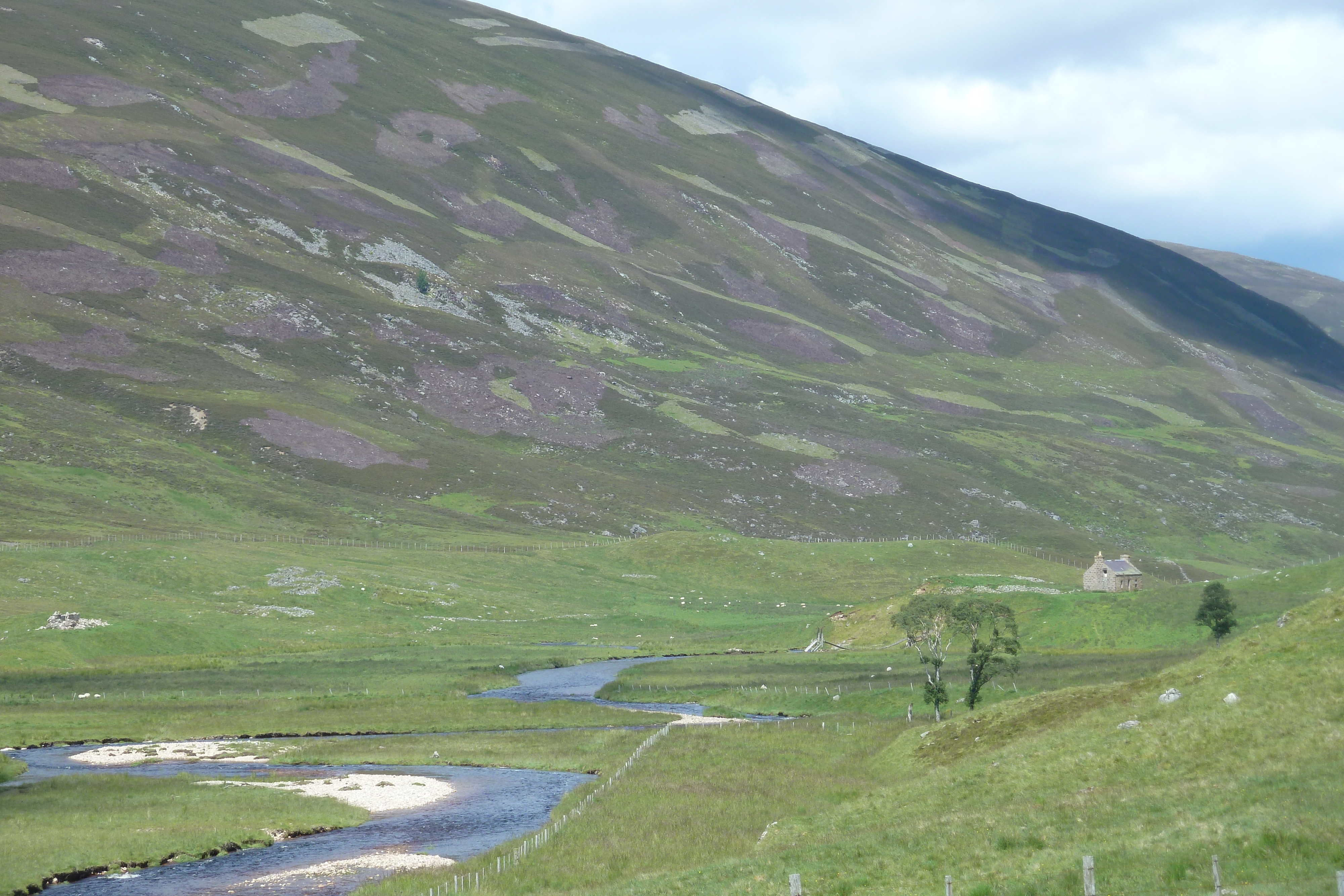 Picture United Kingdom Cairngorms National Park 2011-07 78 - Tour Cairngorms National Park