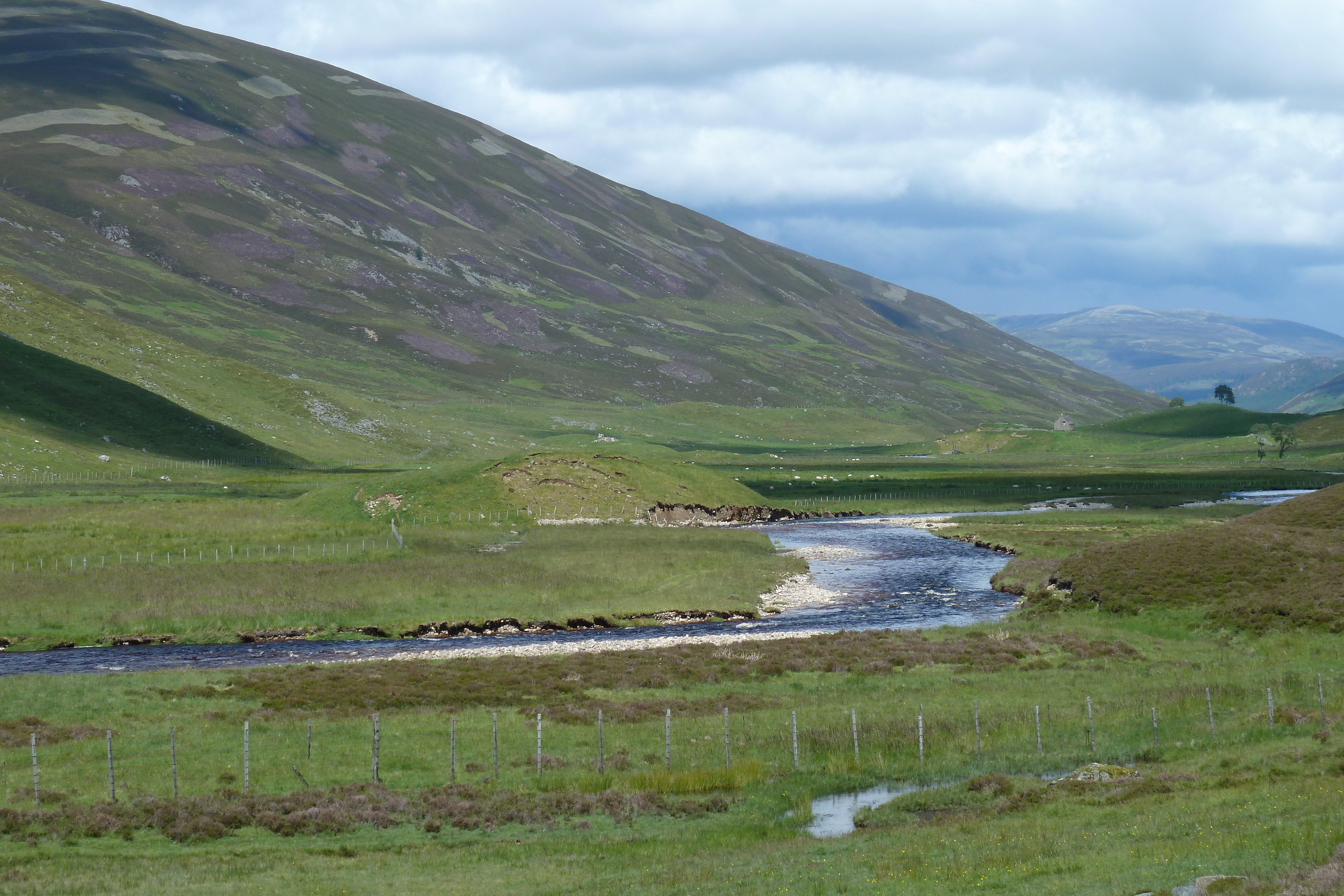 Picture United Kingdom Cairngorms National Park 2011-07 69 - Center Cairngorms National Park