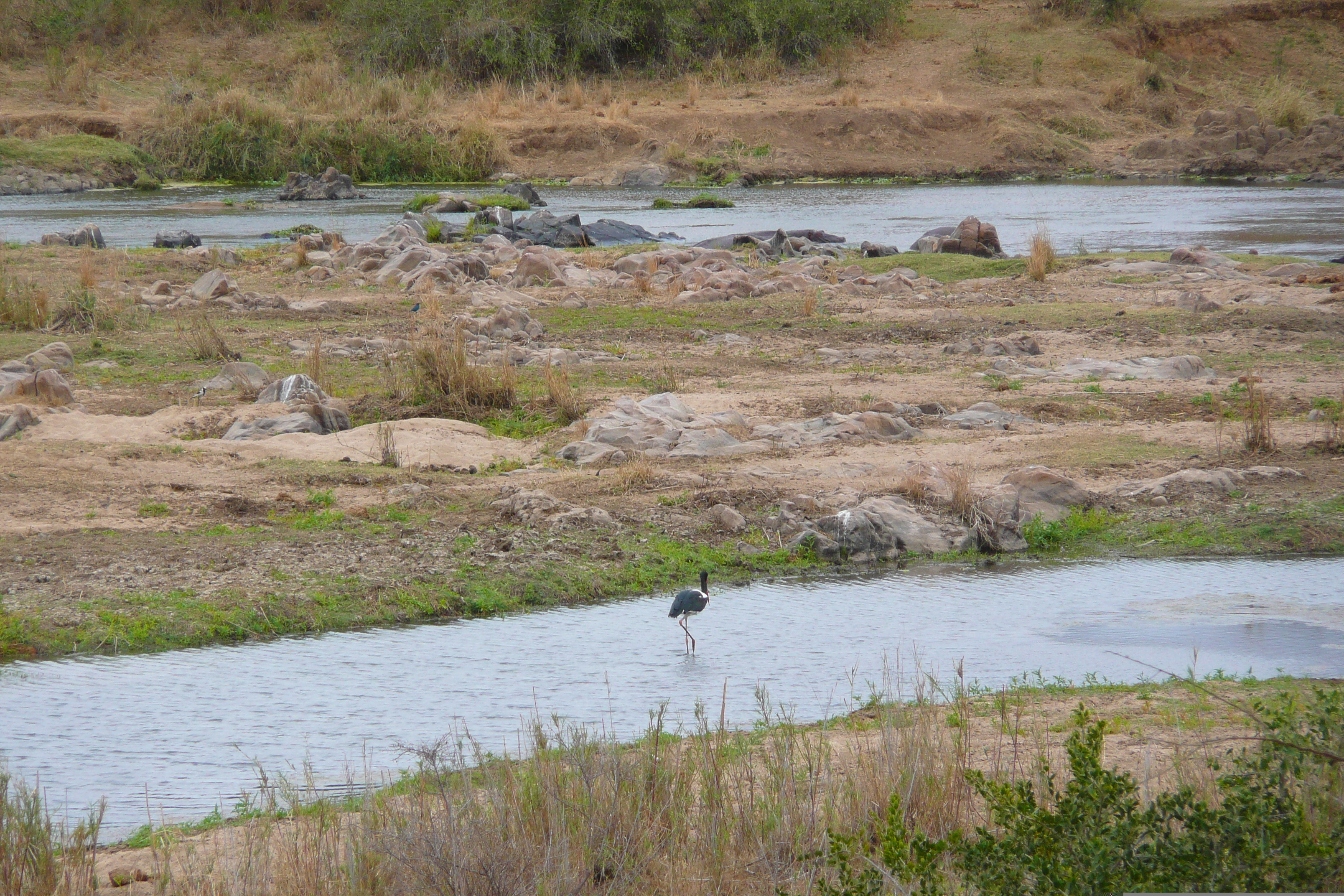 Picture South Africa Kruger National Park Crocodile River 2008-09 8 - Tour Crocodile River