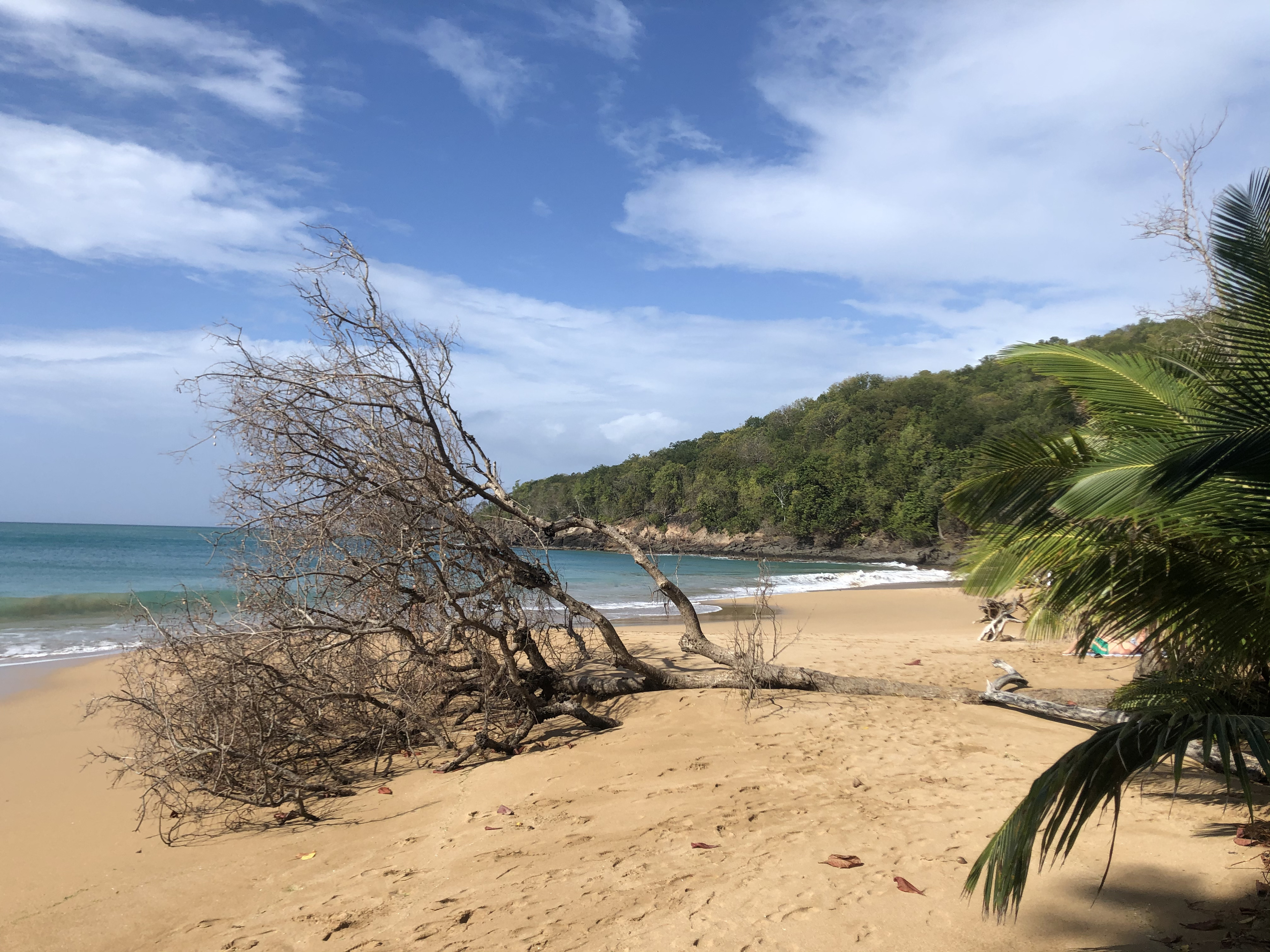 Picture Guadeloupe La Perle Beach 2021-02 43 - Discovery La Perle Beach