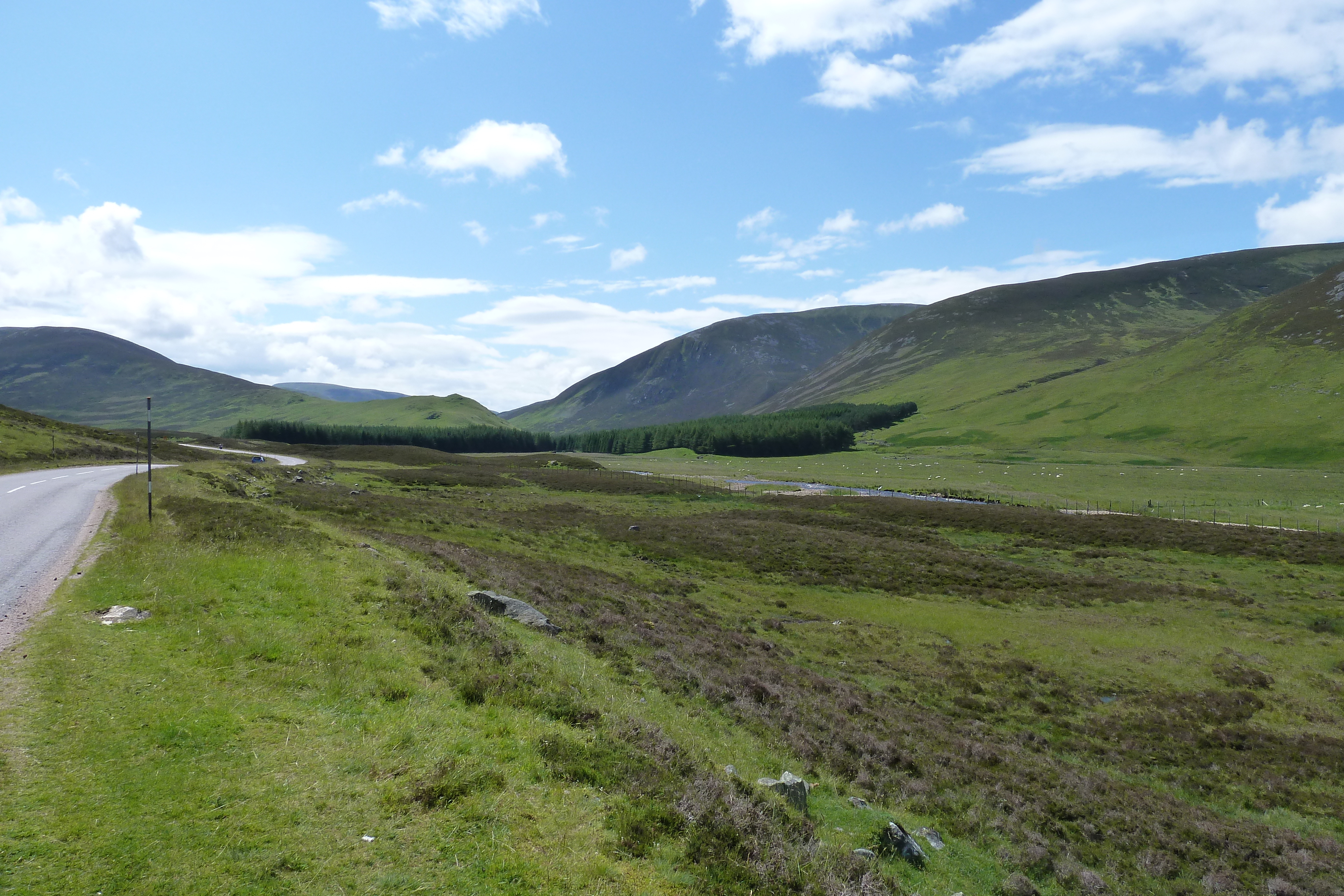 Picture United Kingdom Cairngorms National Park 2011-07 60 - Tours Cairngorms National Park