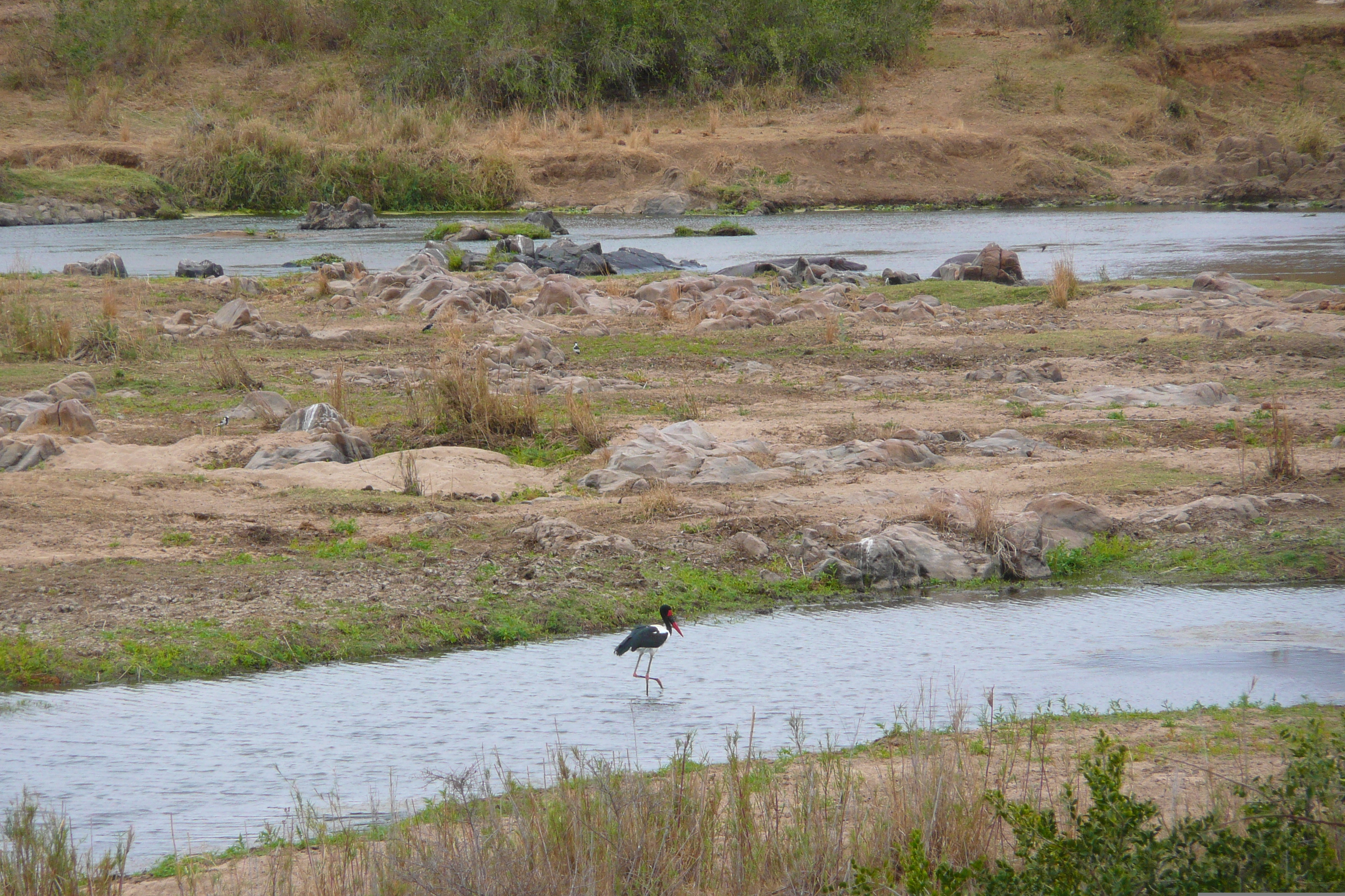 Picture South Africa Kruger National Park Crocodile River 2008-09 1 - Center Crocodile River