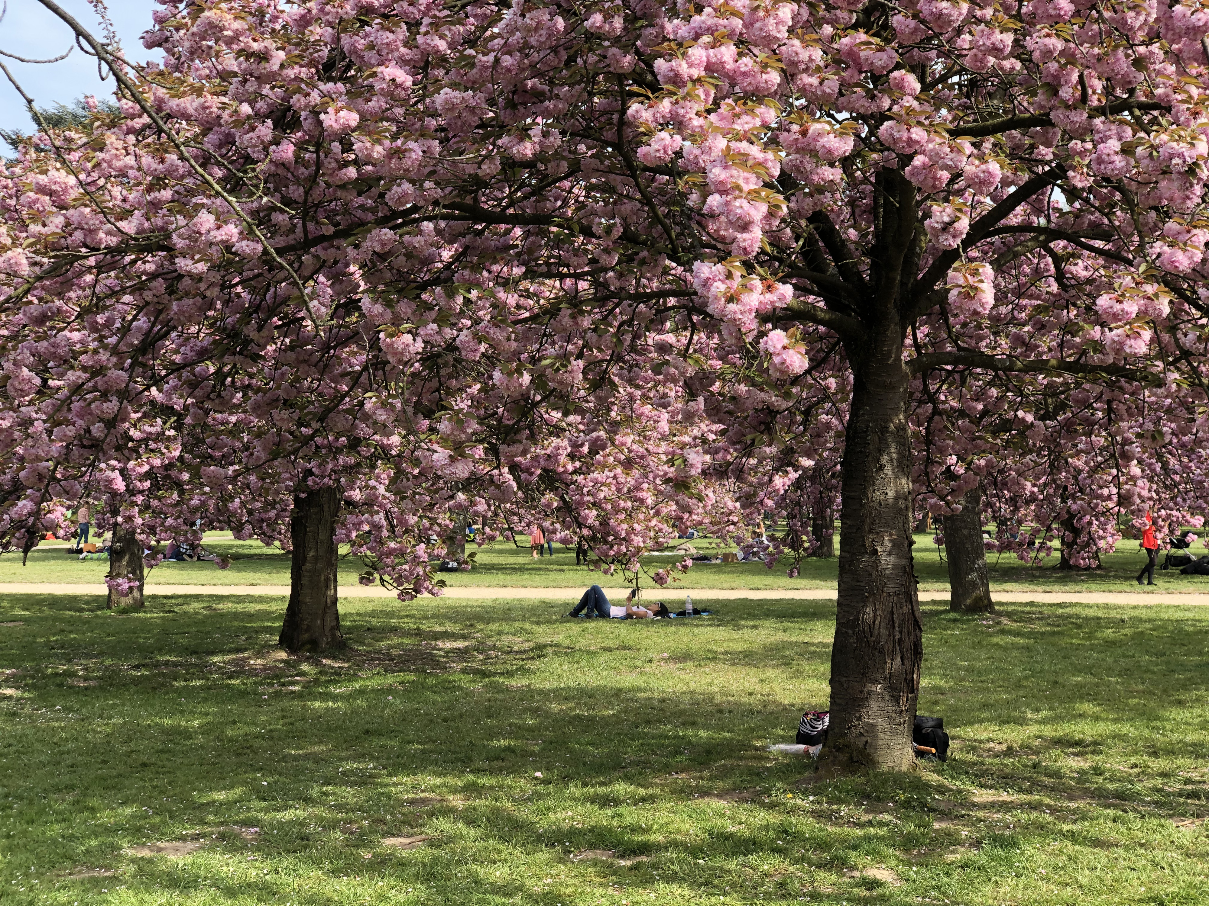 Picture France Parc de Sceaux 2019-04 94 - Center Parc de Sceaux