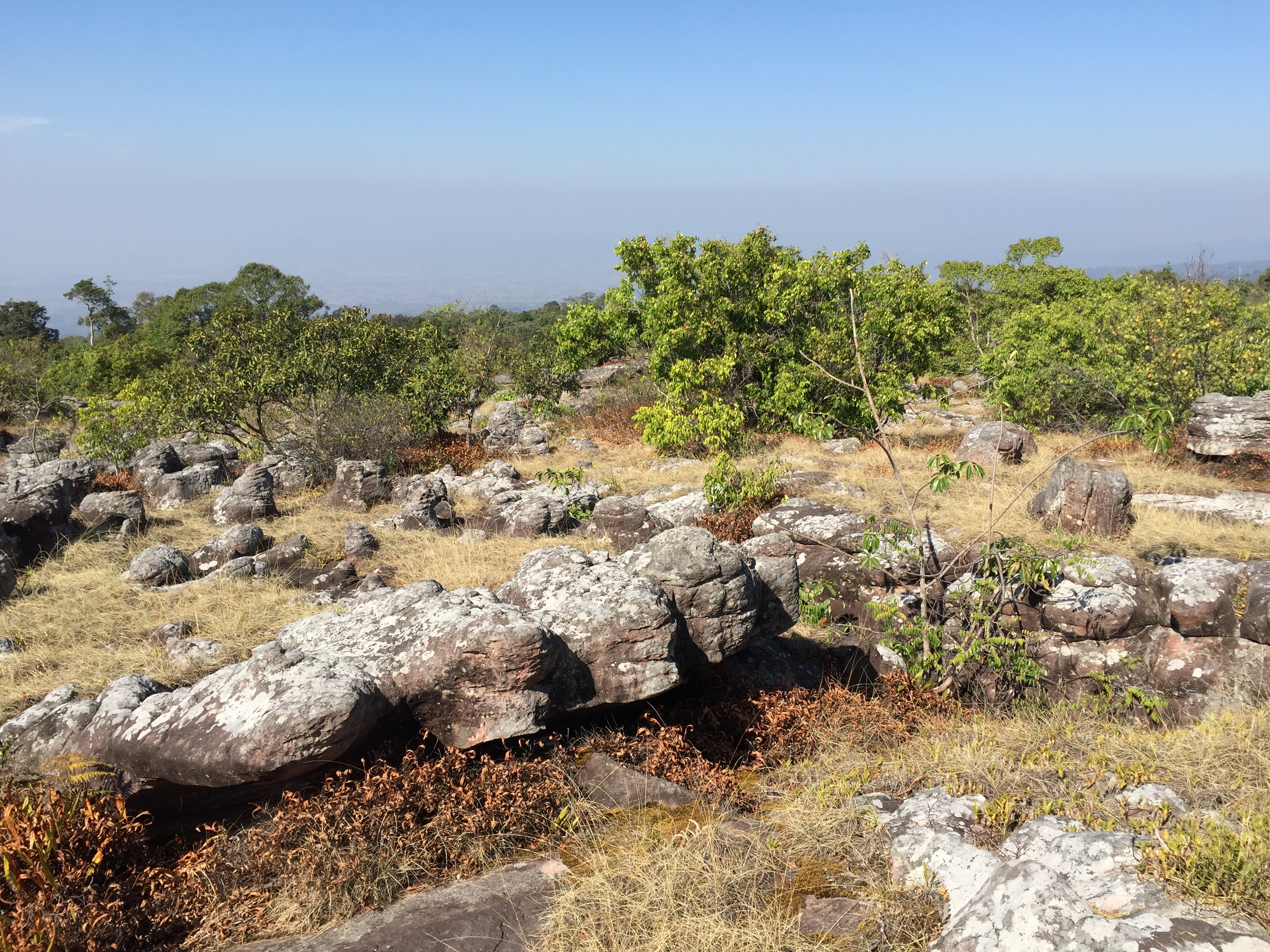 Picture Thailand Phu Hin Rong Kla National Park 2014-12 213 - Tour Phu Hin Rong Kla National Park