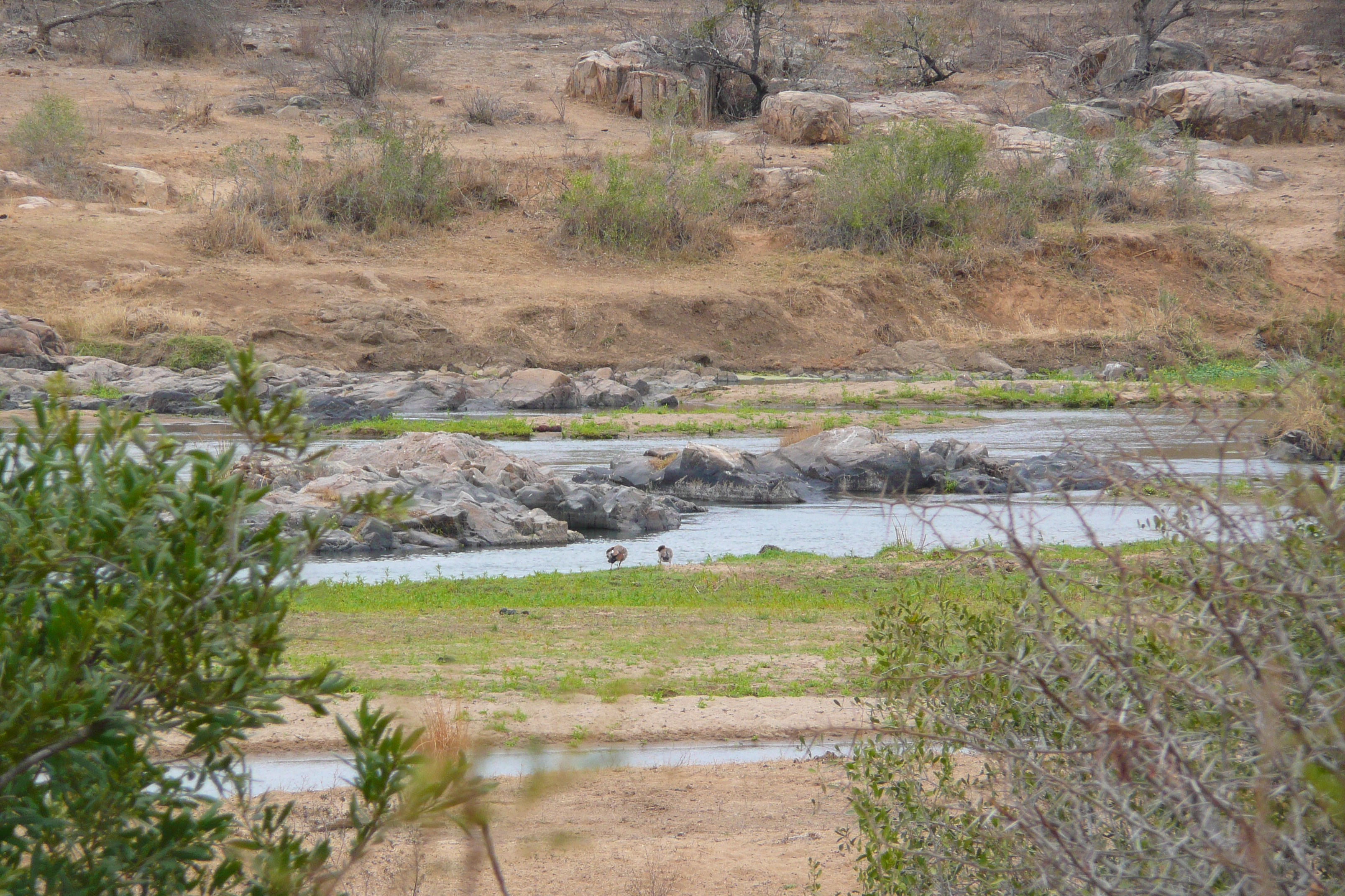 Picture South Africa Kruger National Park Crocodile River 2008-09 21 - Center Crocodile River