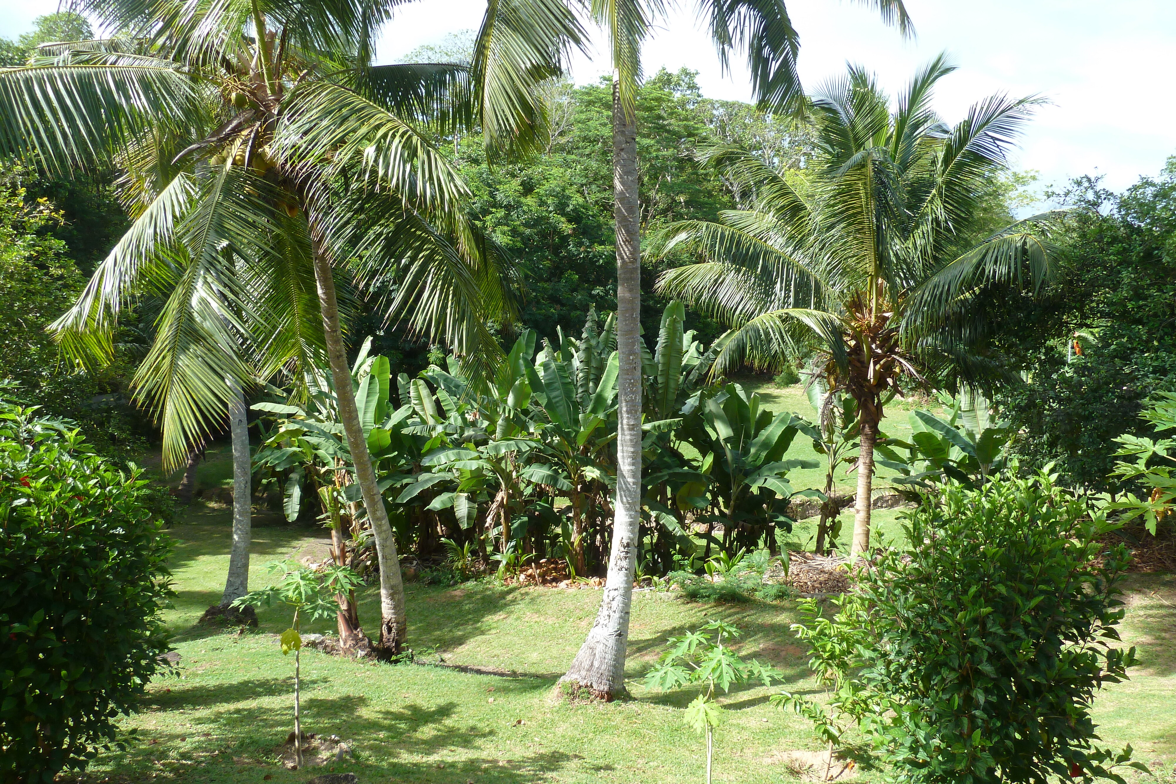 Picture Seychelles Praslin 2011-10 72 - Center Praslin