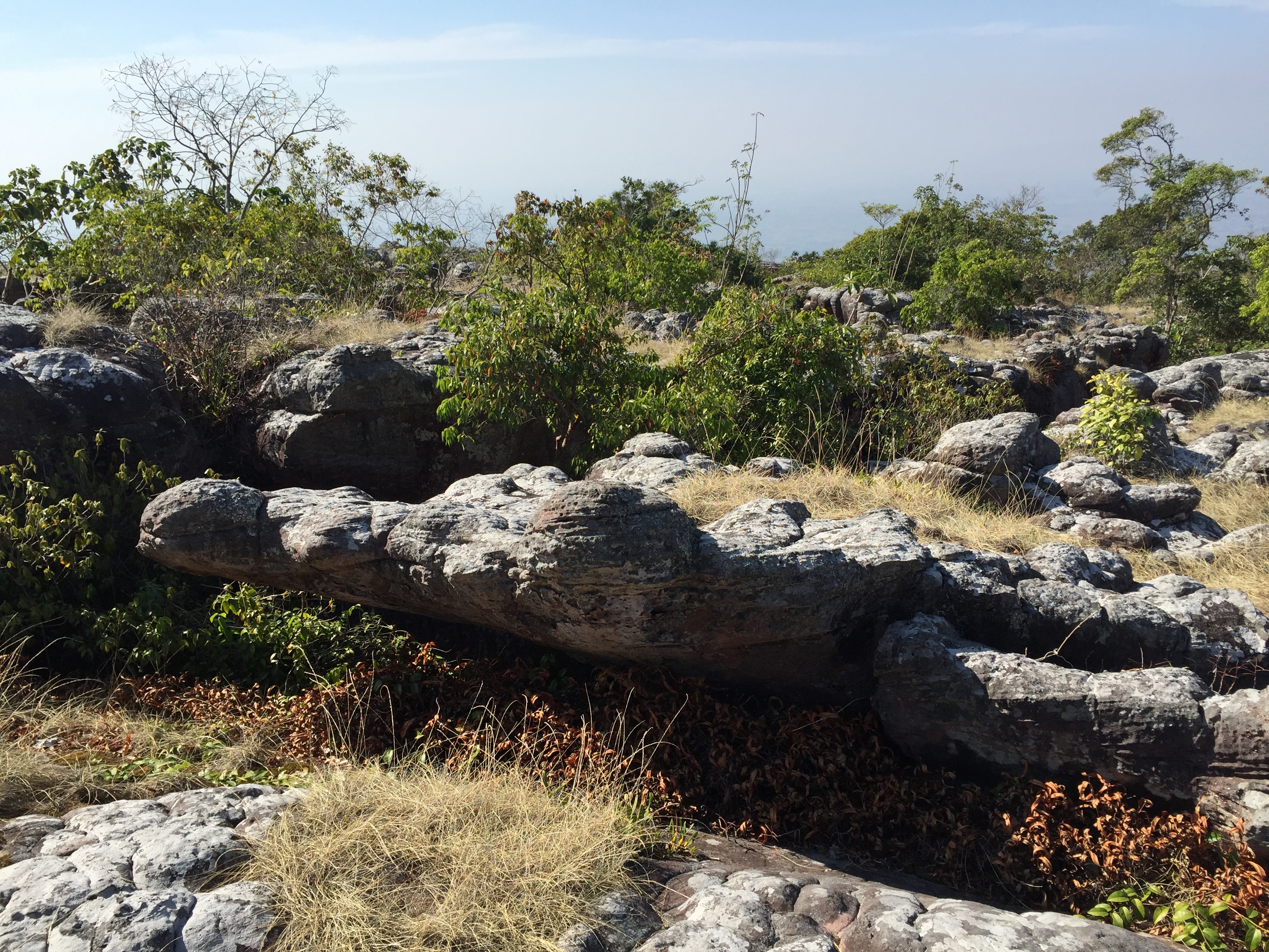 Picture Thailand Phu Hin Rong Kla National Park 2014-12 257 - Discovery Phu Hin Rong Kla National Park