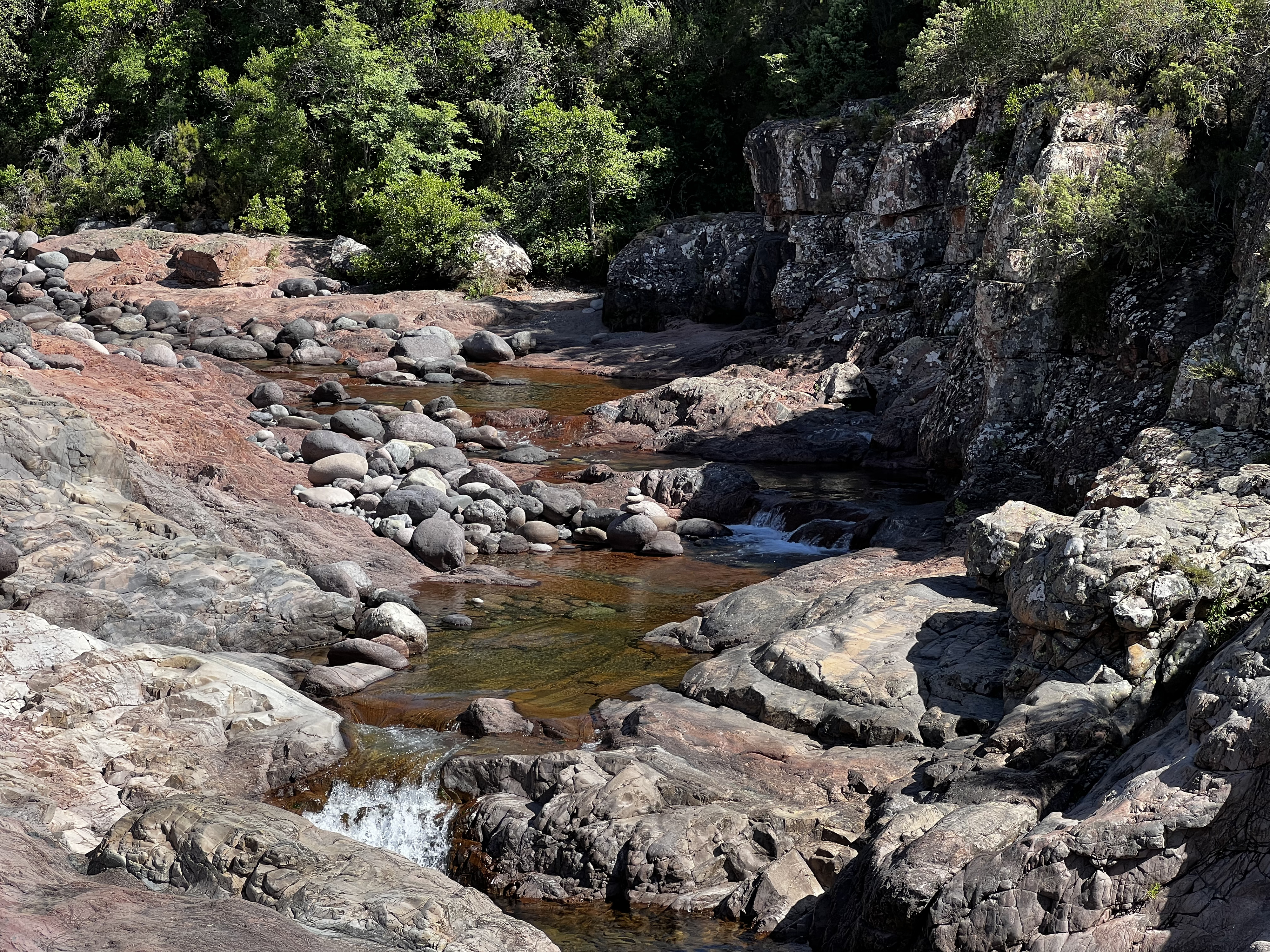 Picture France Corsica Fango river 2022-06 34 - Tours Fango river