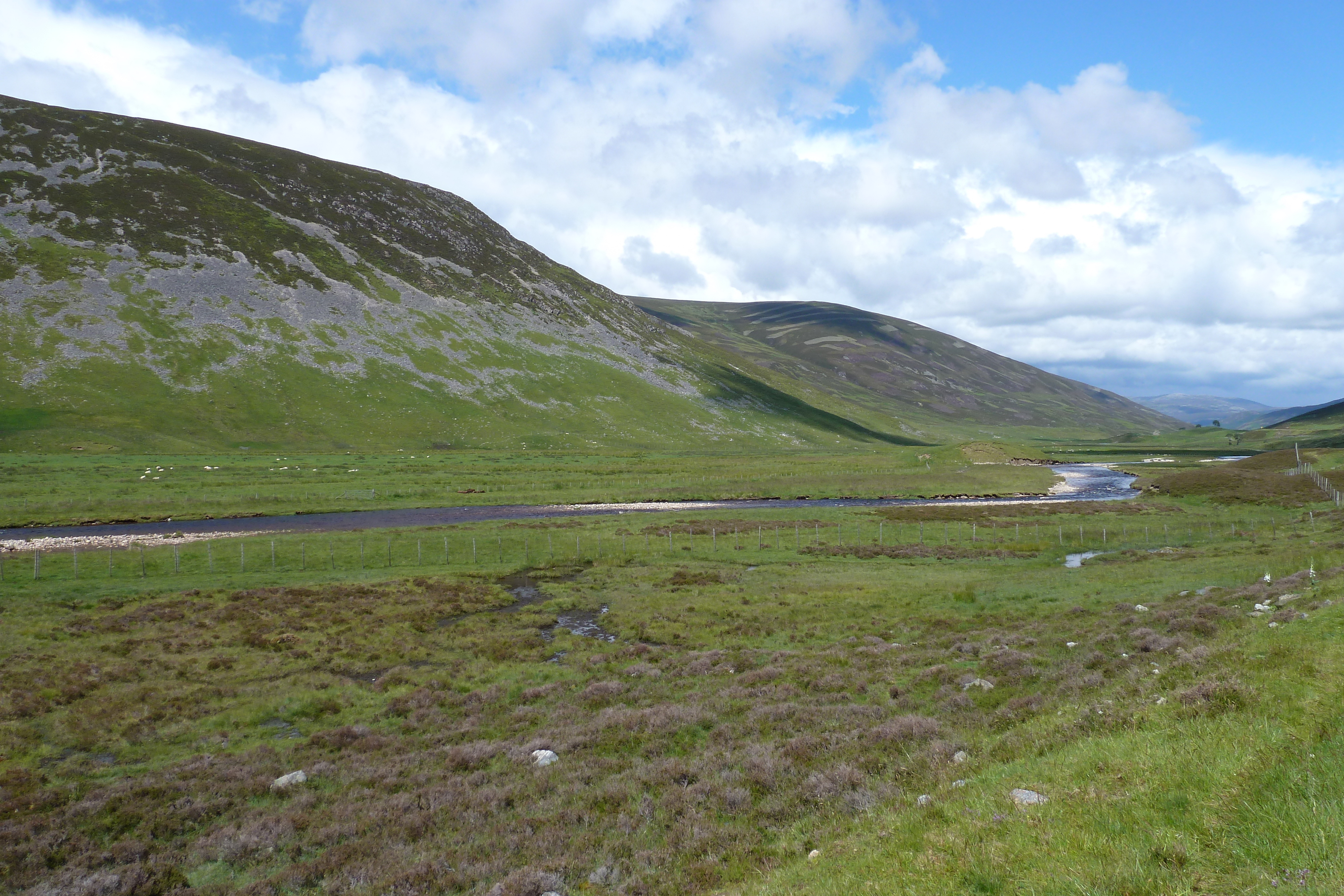 Picture United Kingdom Cairngorms National Park 2011-07 98 - Journey Cairngorms National Park