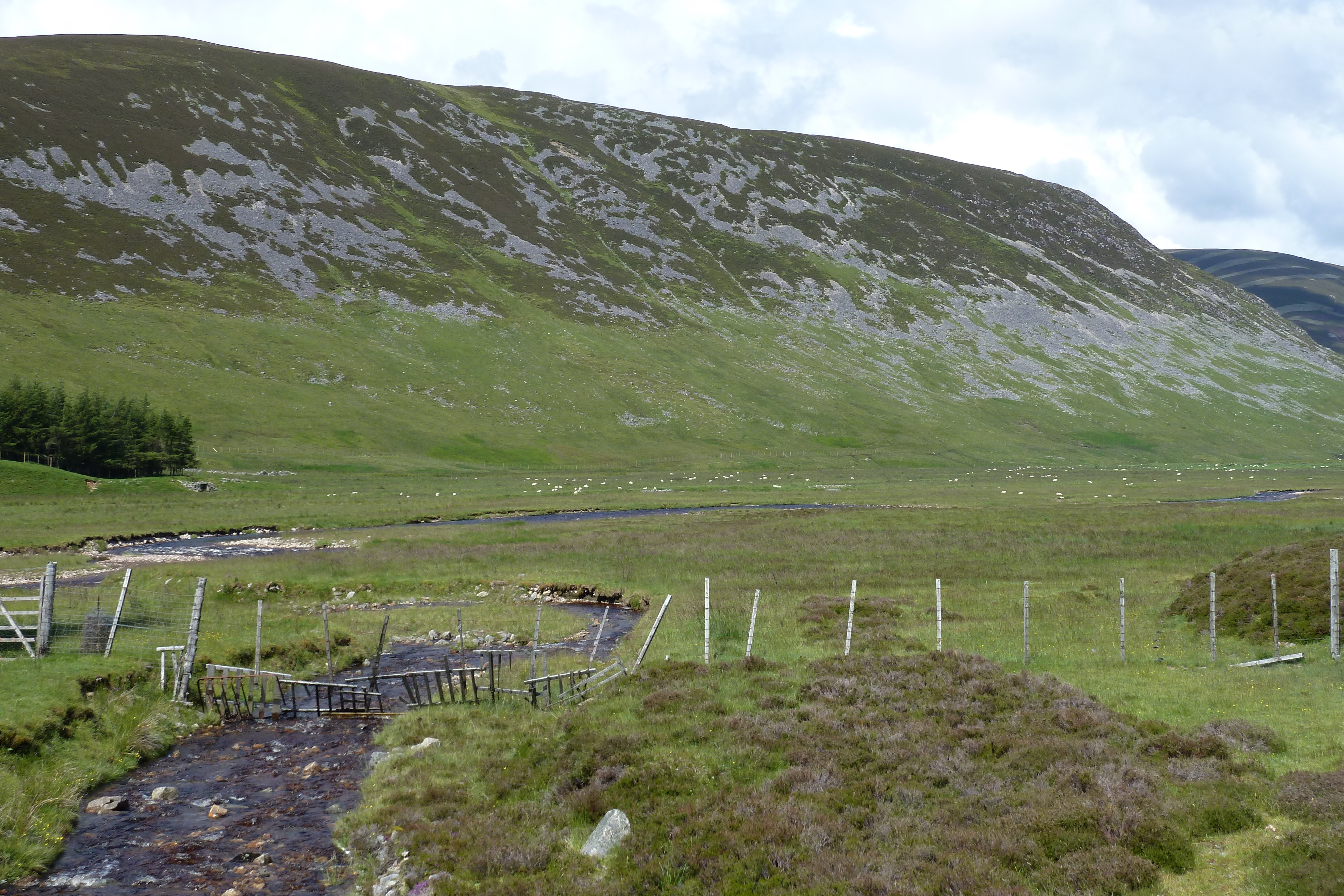 Picture United Kingdom Cairngorms National Park 2011-07 70 - Recreation Cairngorms National Park