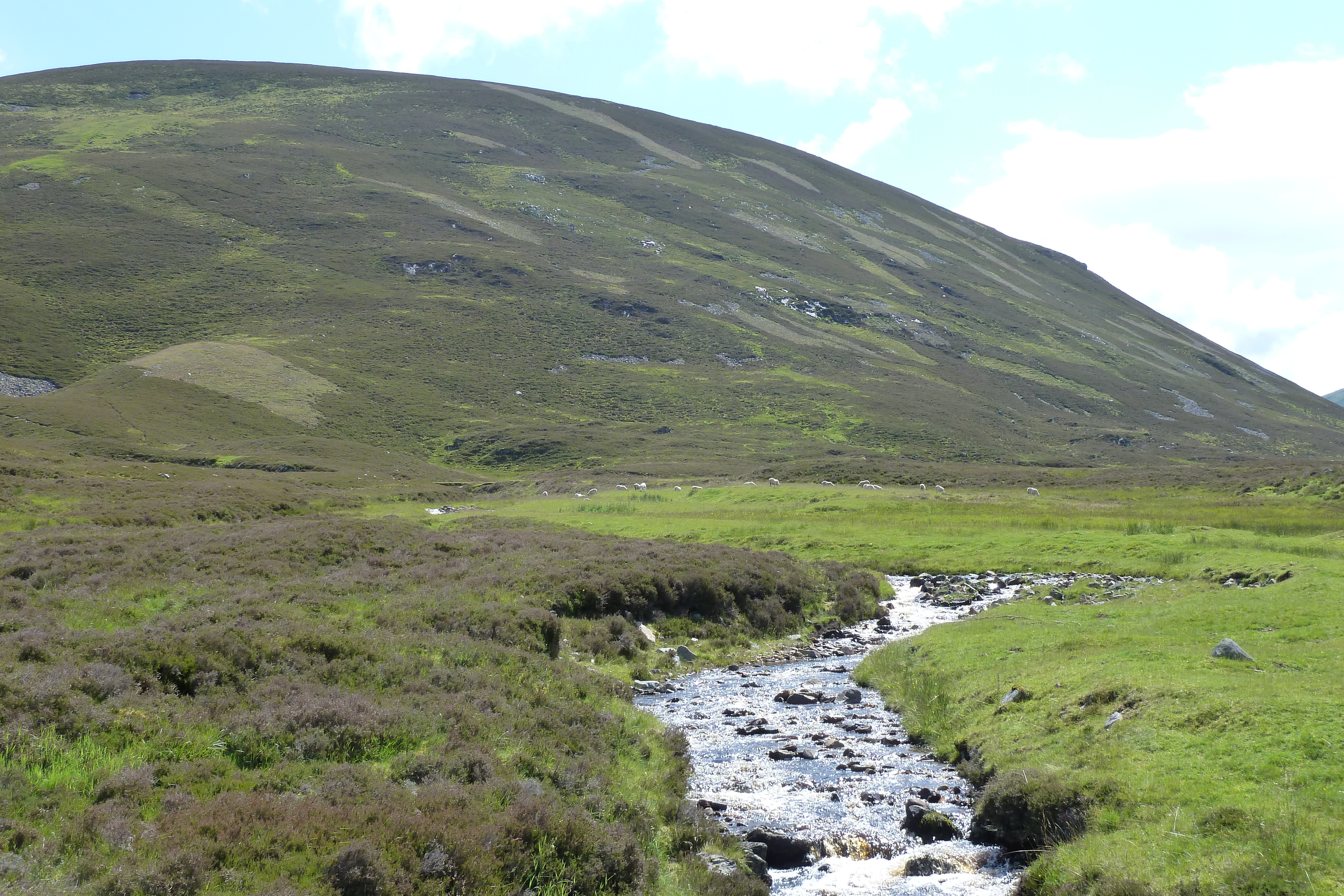 Picture United Kingdom Cairngorms National Park 2011-07 79 - History Cairngorms National Park