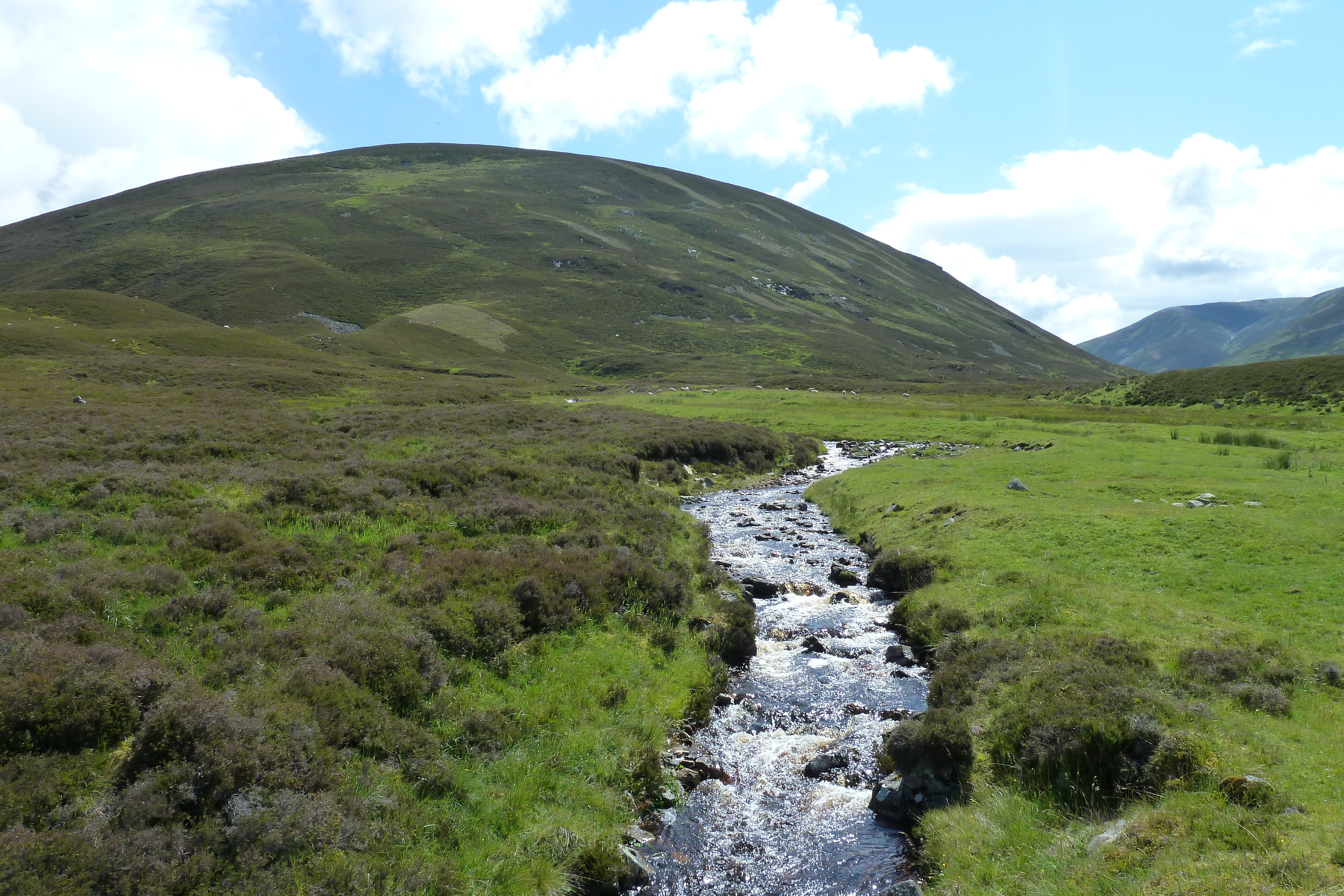 Picture United Kingdom Scotland 2011-07 108 - Recreation Scotland