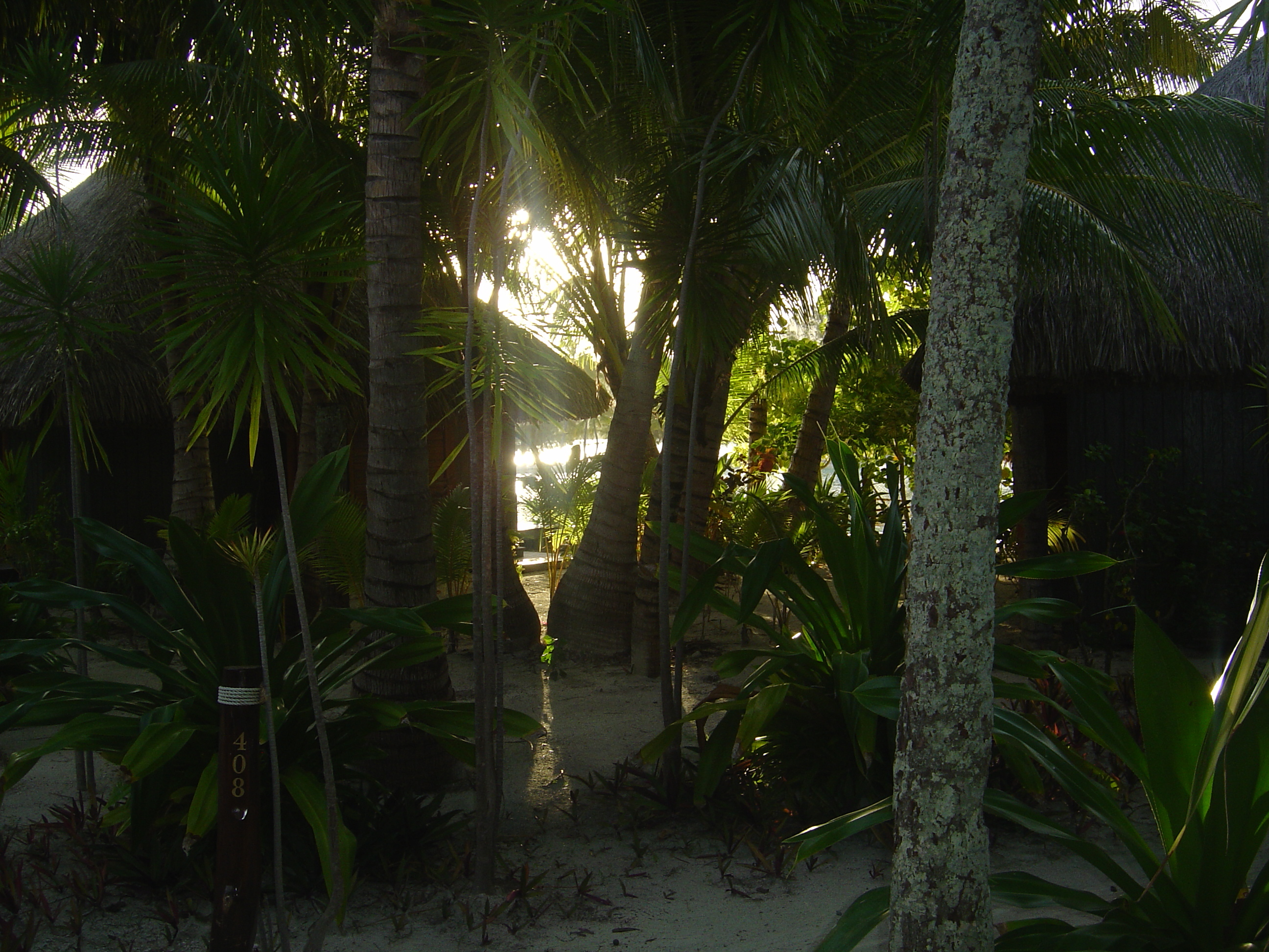 Picture Polynesia Meridien Bora Bora Hotel 2006-04 20 - Around Meridien Bora Bora Hotel