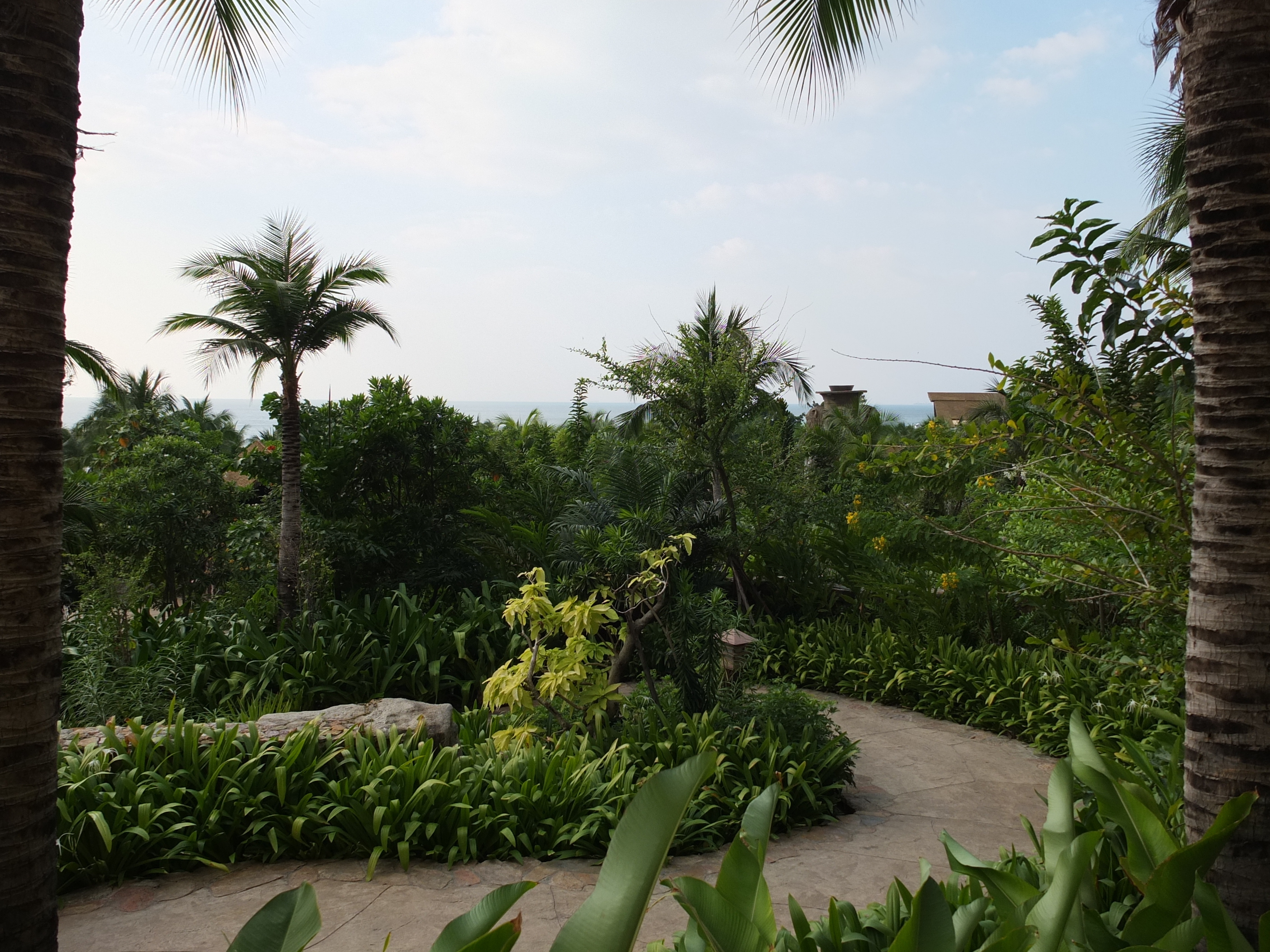 Picture Thailand Pattaya Centara Hotel 2011-12 73 - Center Centara Hotel