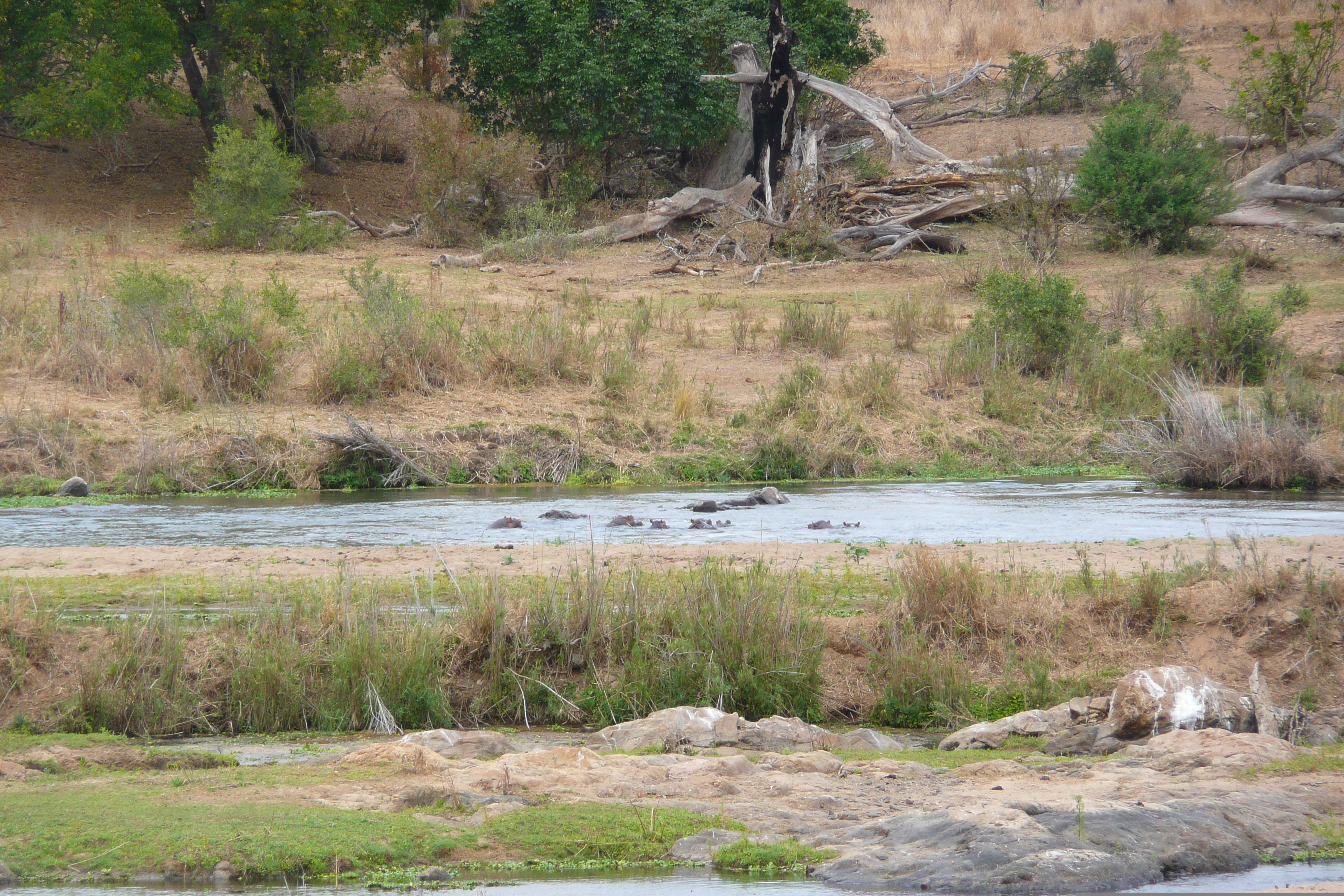 Picture South Africa Kruger National Park Crocodile River 2008-09 74 - History Crocodile River