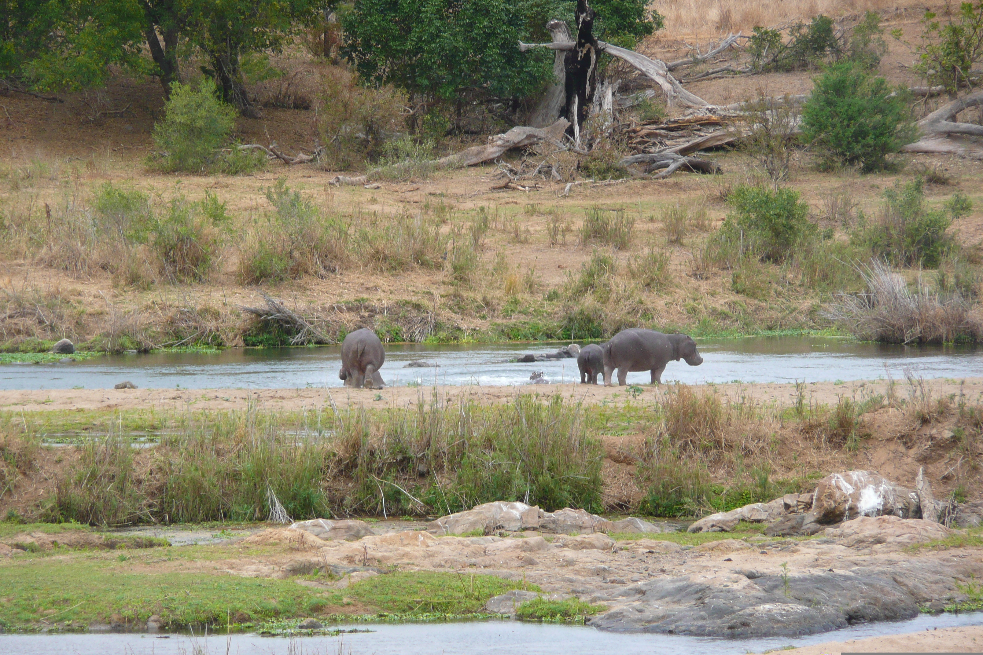 Picture South Africa Kruger National Park Crocodile River 2008-09 61 - Recreation Crocodile River