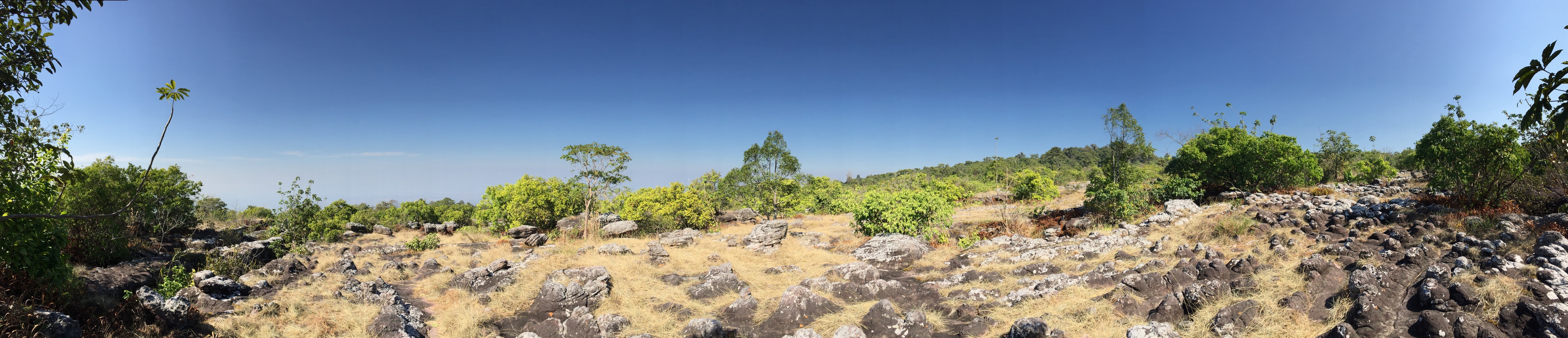 Picture Thailand Phu Hin Rong Kla National Park 2014-12 421 - Around Phu Hin Rong Kla National Park