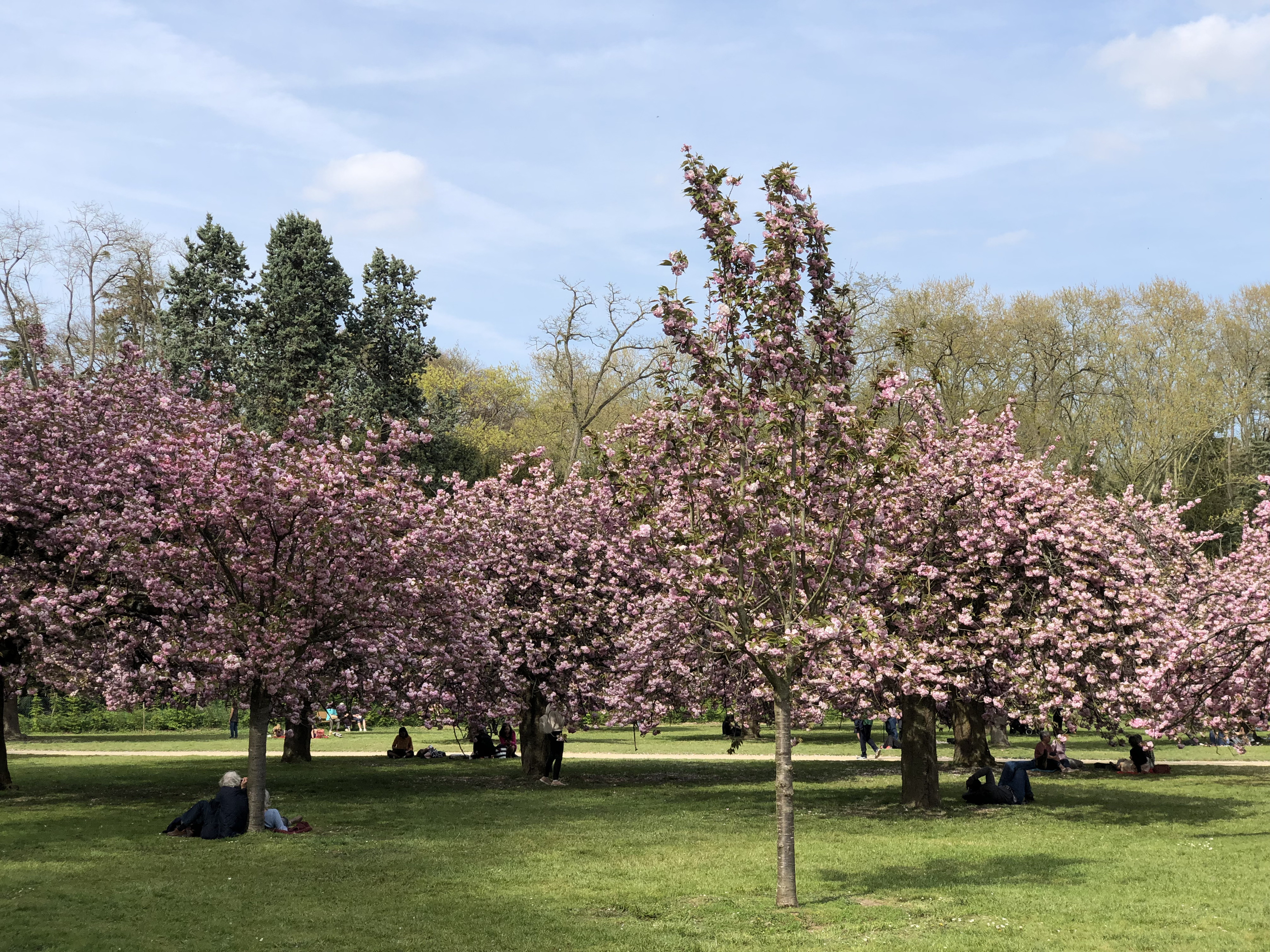 Picture France Parc de Sceaux 2019-04 0 - Recreation Parc de Sceaux